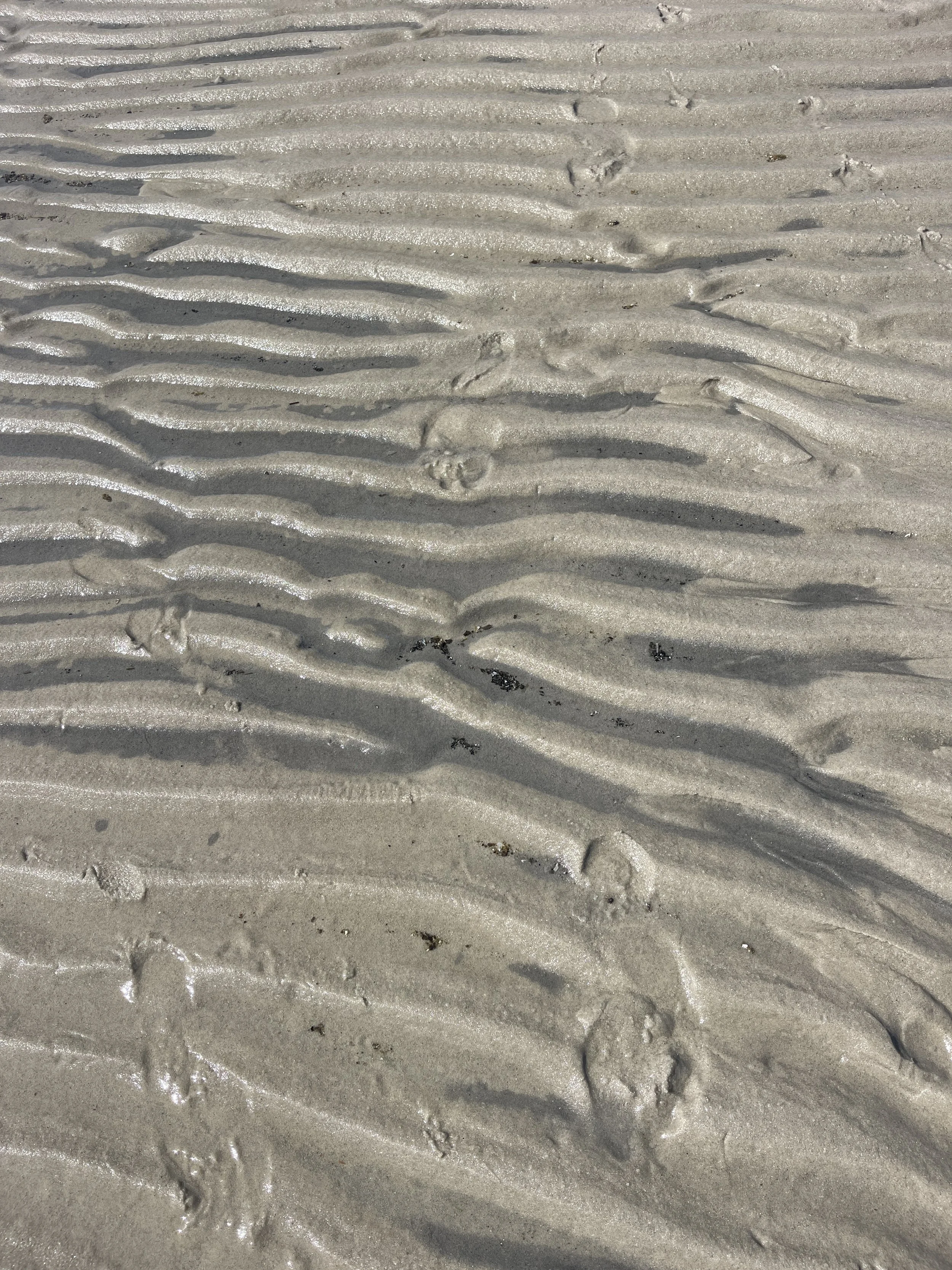 The Surprising Gift of Self-Doubt