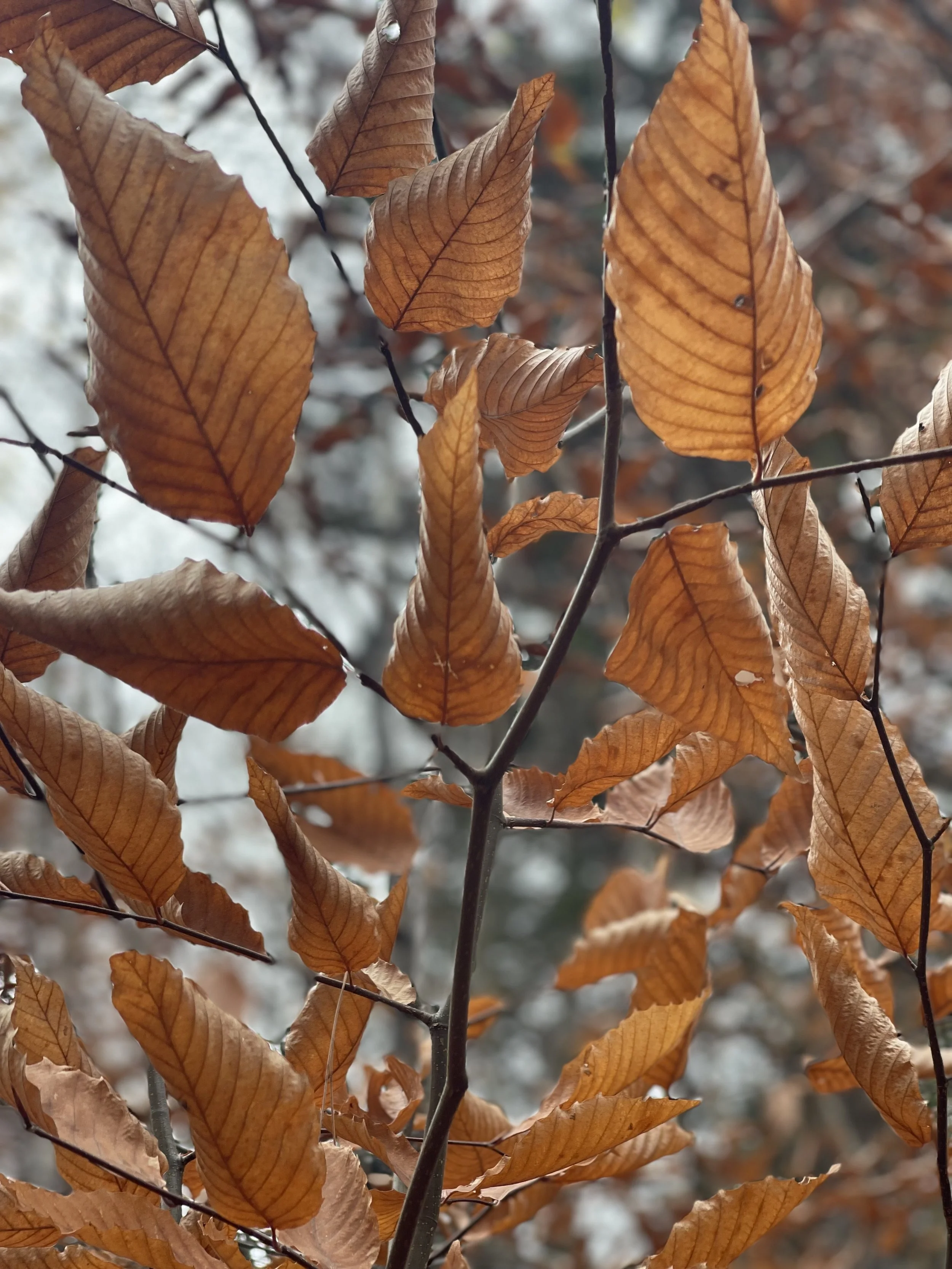 Why I Eliminated “Good” From My Teaching Vocabulary