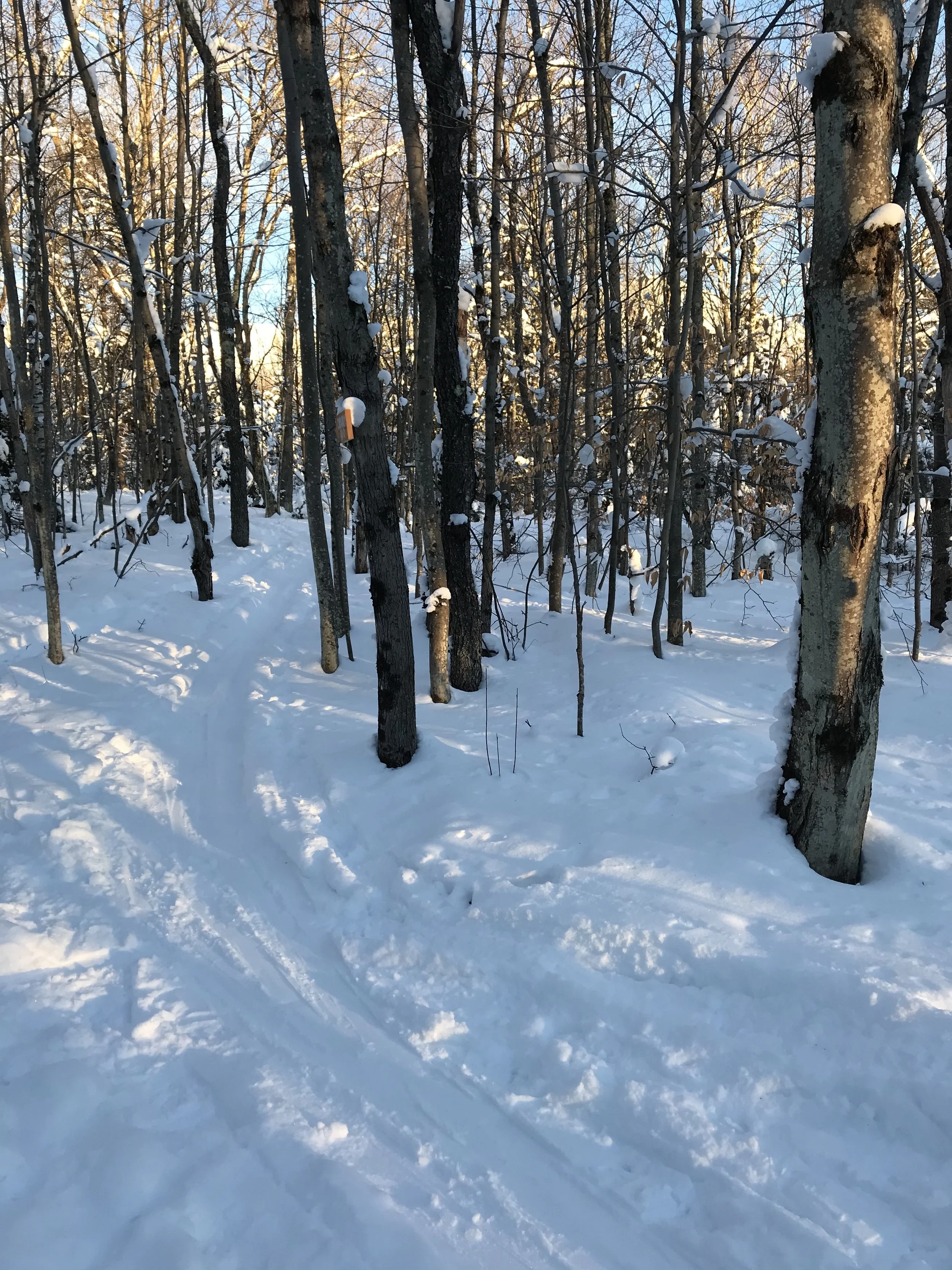 What if you trust your curiosity?