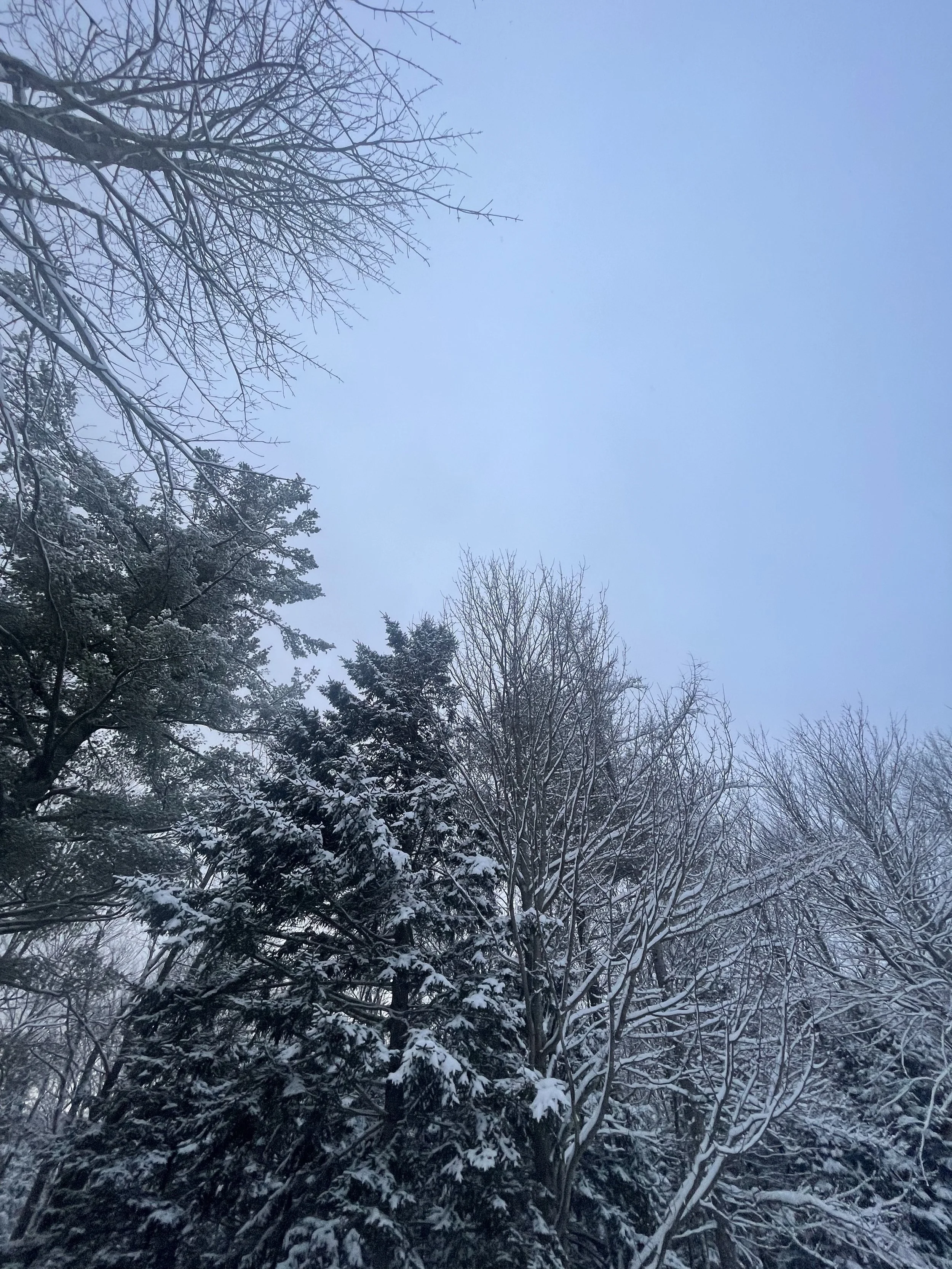 Is Routine Restrictive or Liberating?