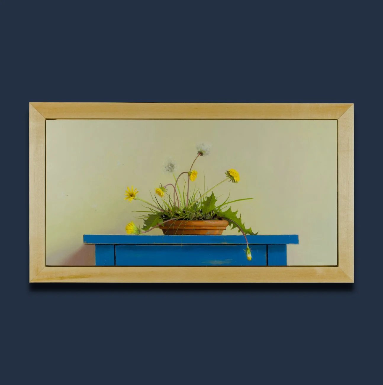 Domesticated Dandeliions square.jpg