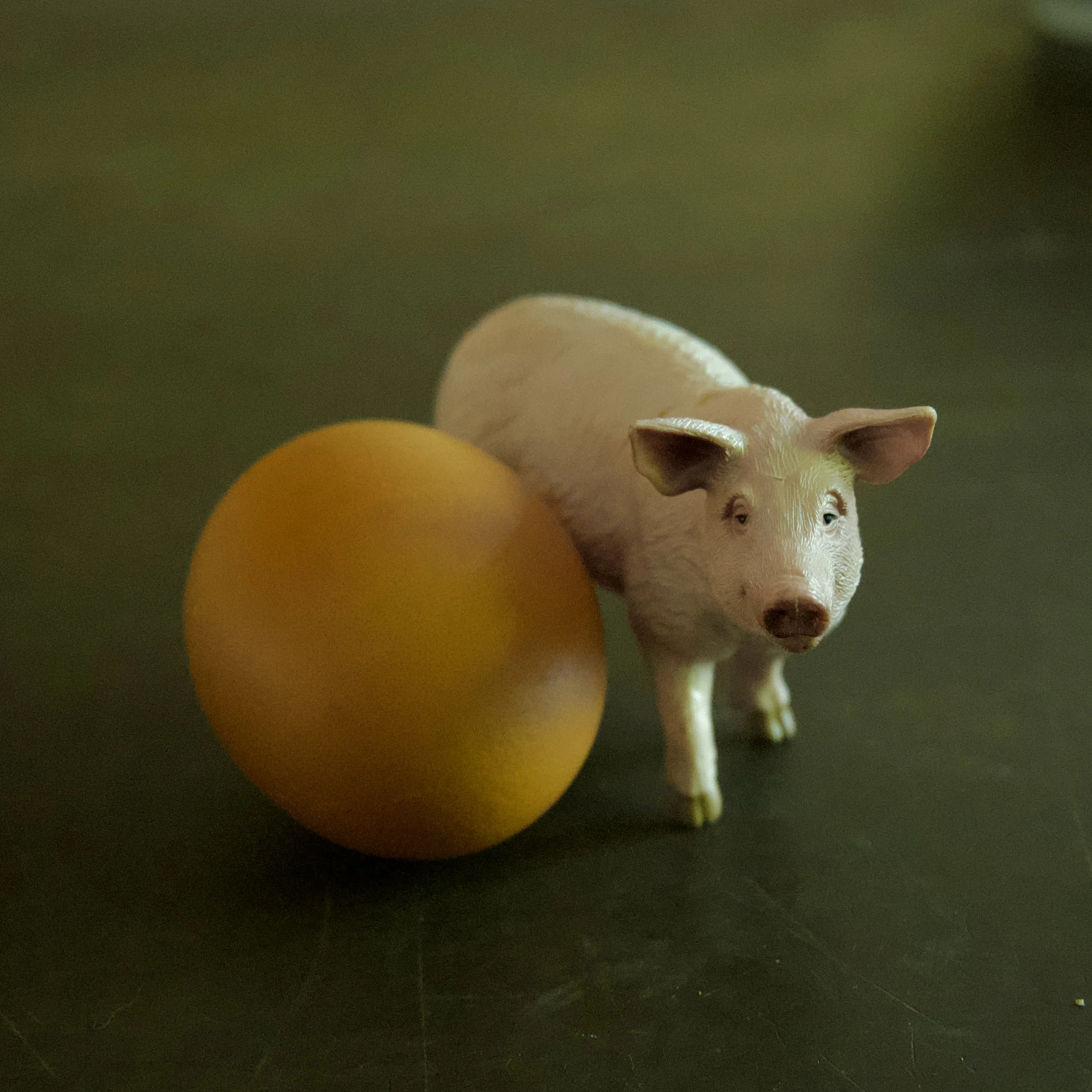 DSC_7056.jpeg