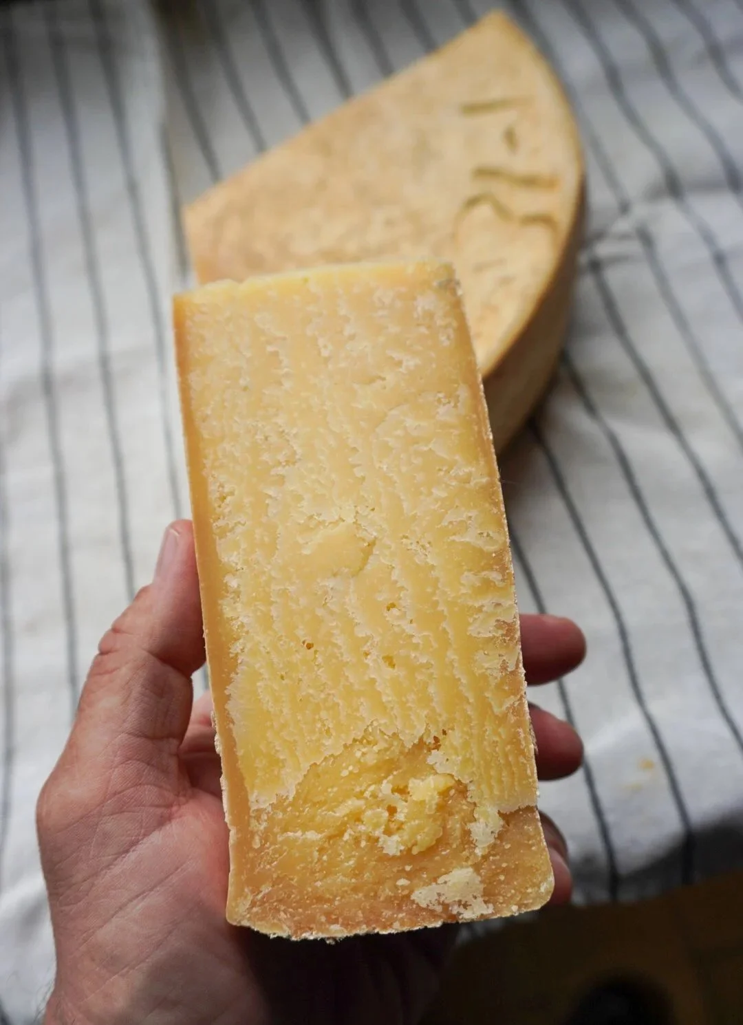 Clinica de Quesos Naturales: Alpinos, Provola y Cottage - Colonia - 27 y 28 junio