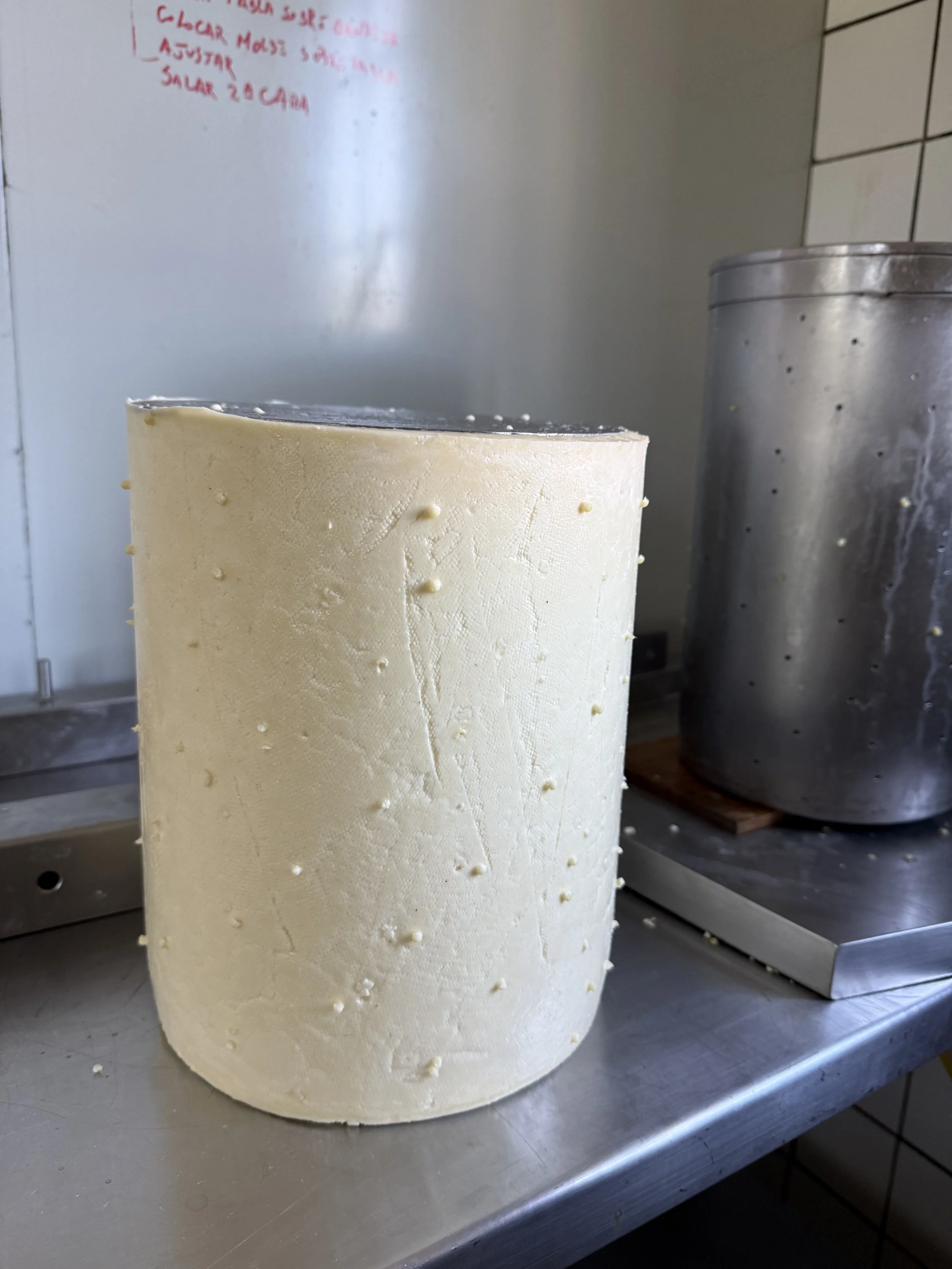 Katy Fenwick enseña Quesos británicos tradicionales con fermentos naturales Cheddar y Stilton — 4 días