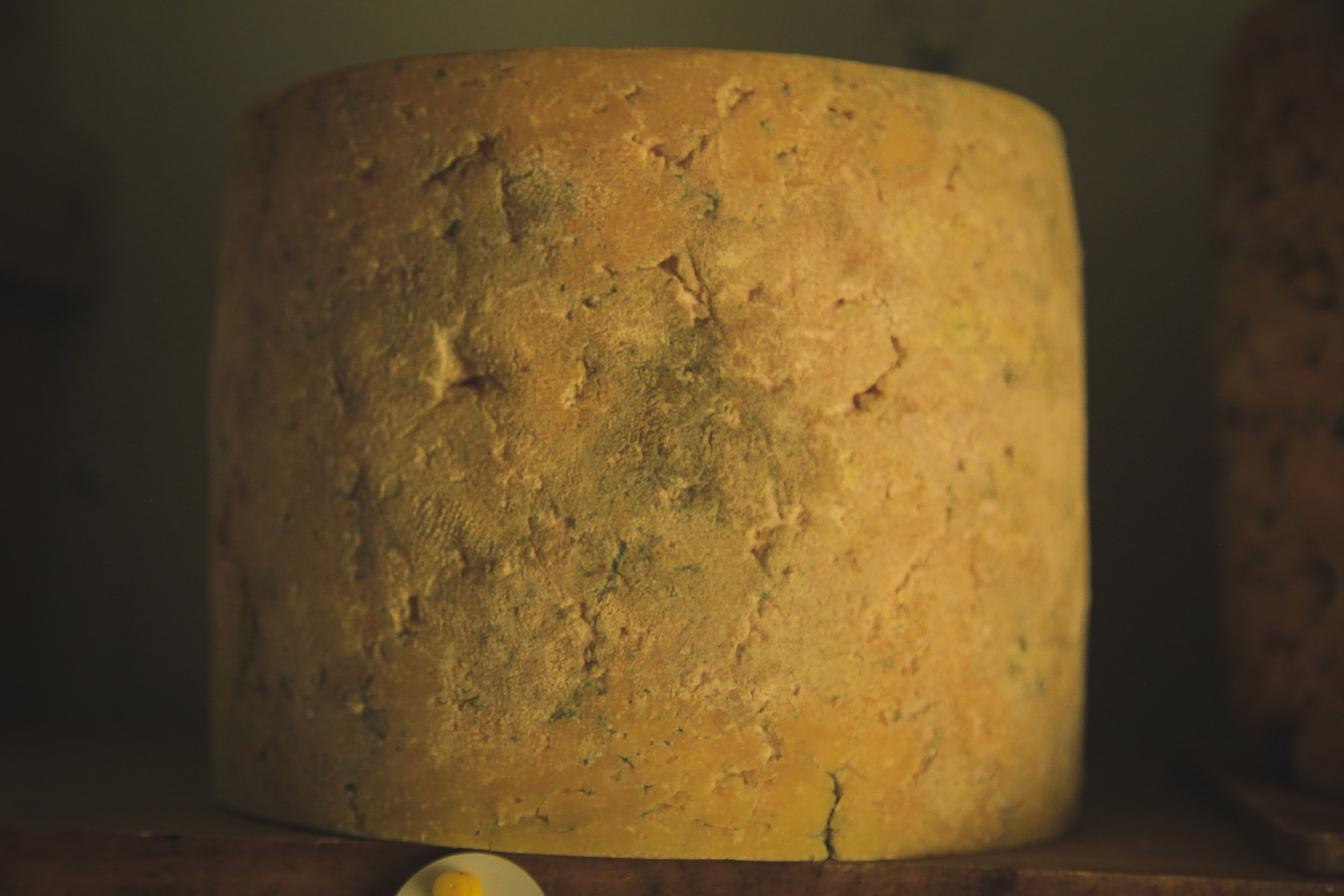 Katy Fenwick - Quesos Ingleses tradicionales: Cheddar y Stilton — 4 días