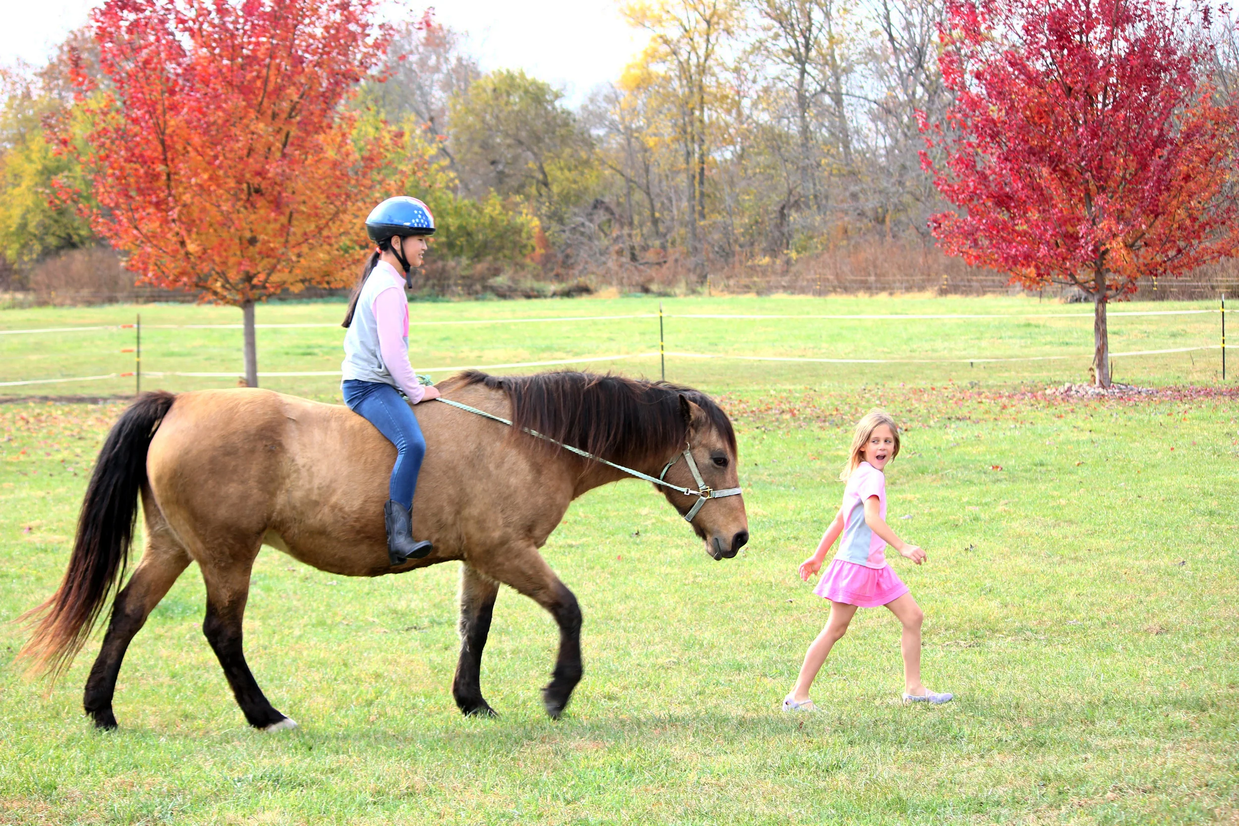 What is Equestrian Therapy?
