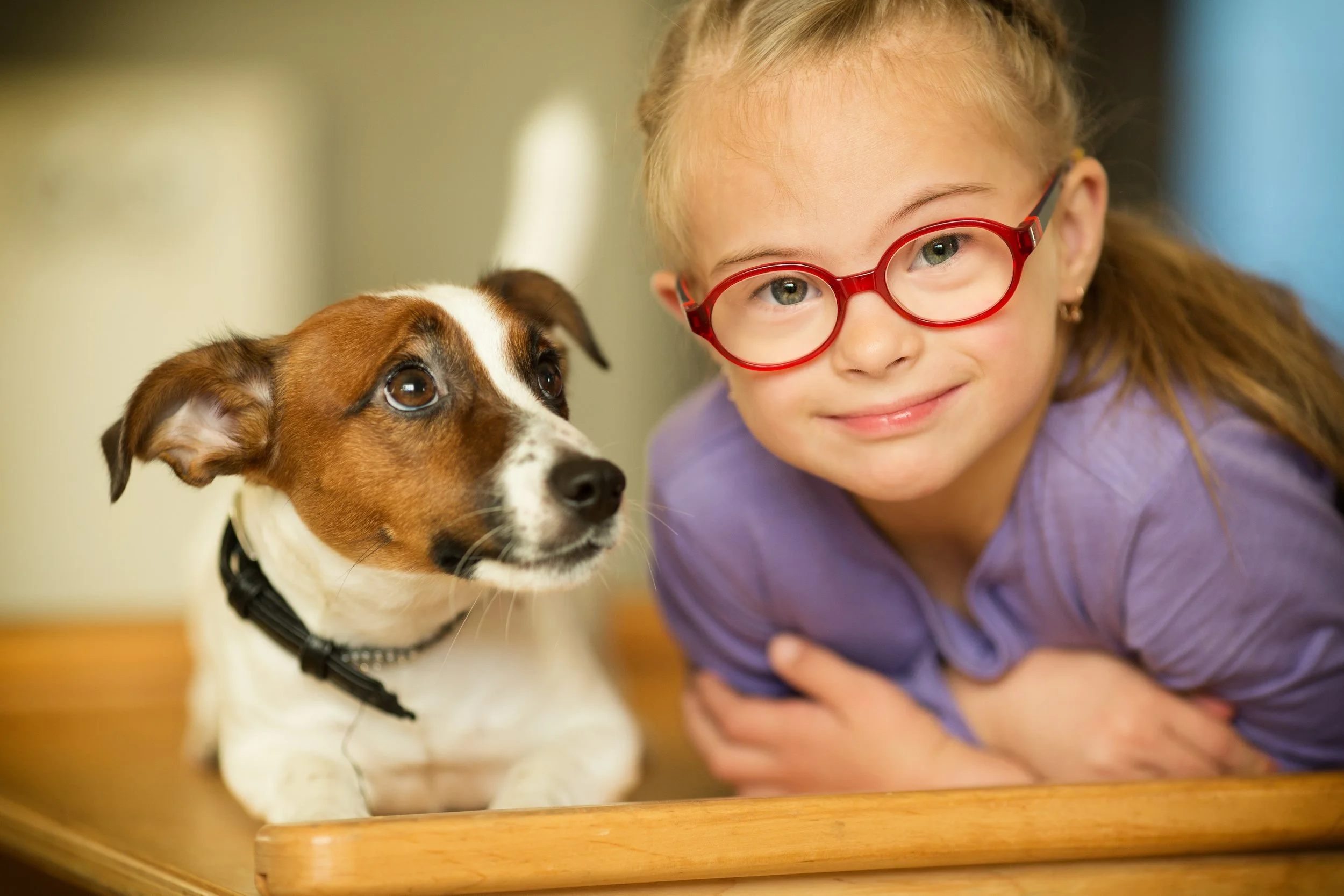 Helping Our Children Feel Safe:  Creating Emotionally Supportive Spaces at Home and School