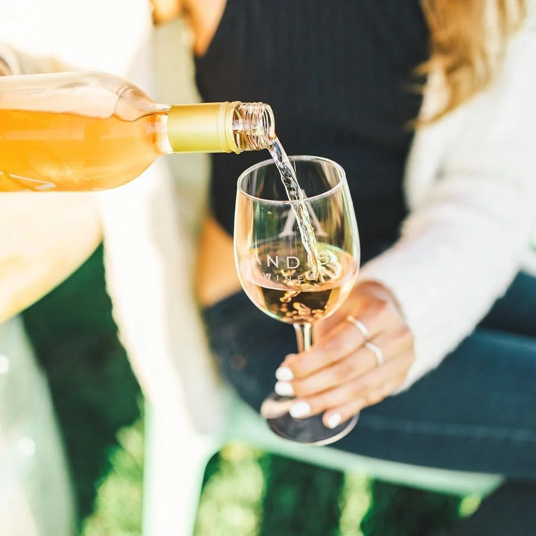 Wine Tasting at Metamora General - April 24, 2024