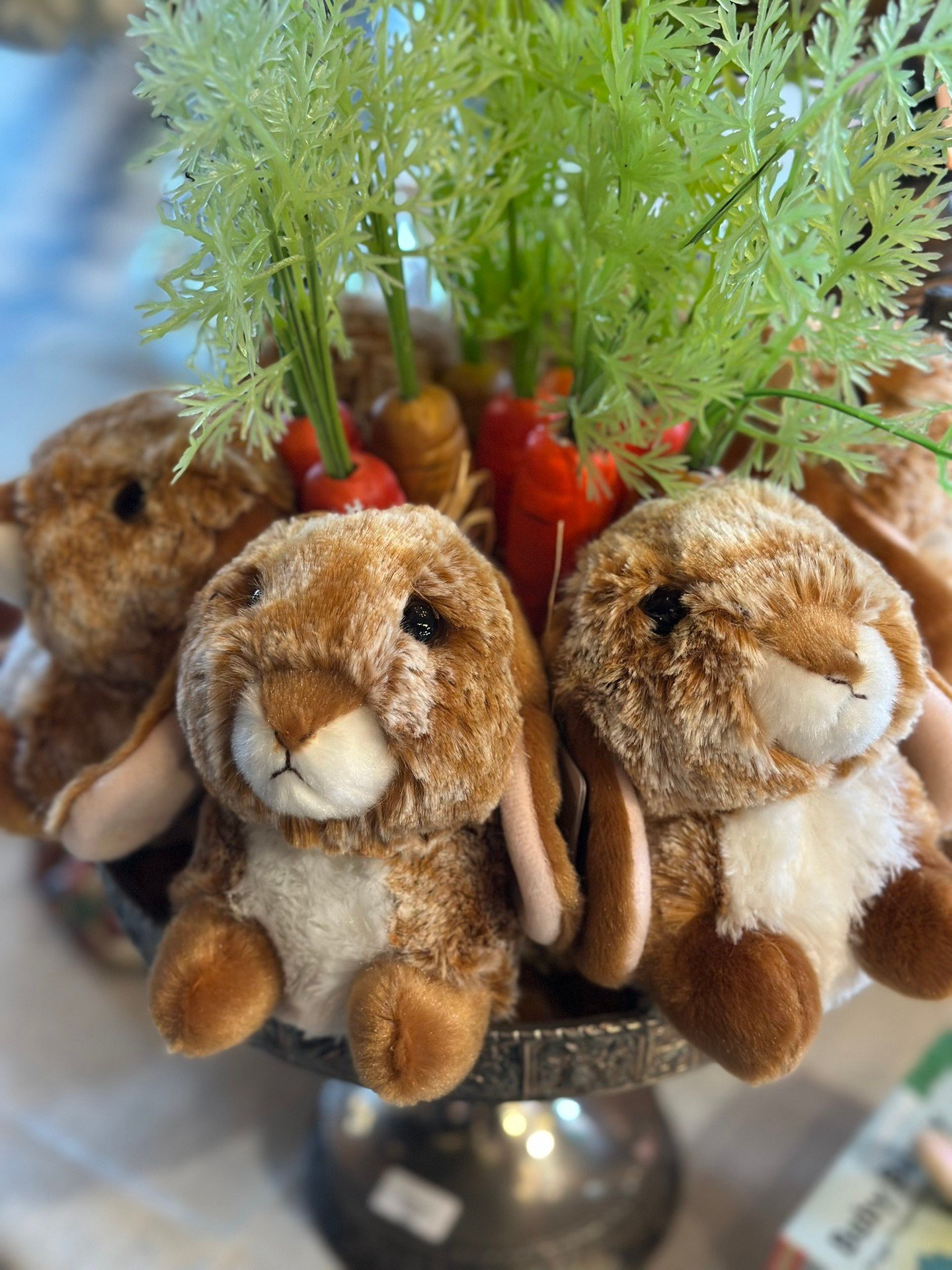 A few new spring arrivals have hopped into Metamora General. 🐰🌿 These would make excellent additions to any Easter basket!