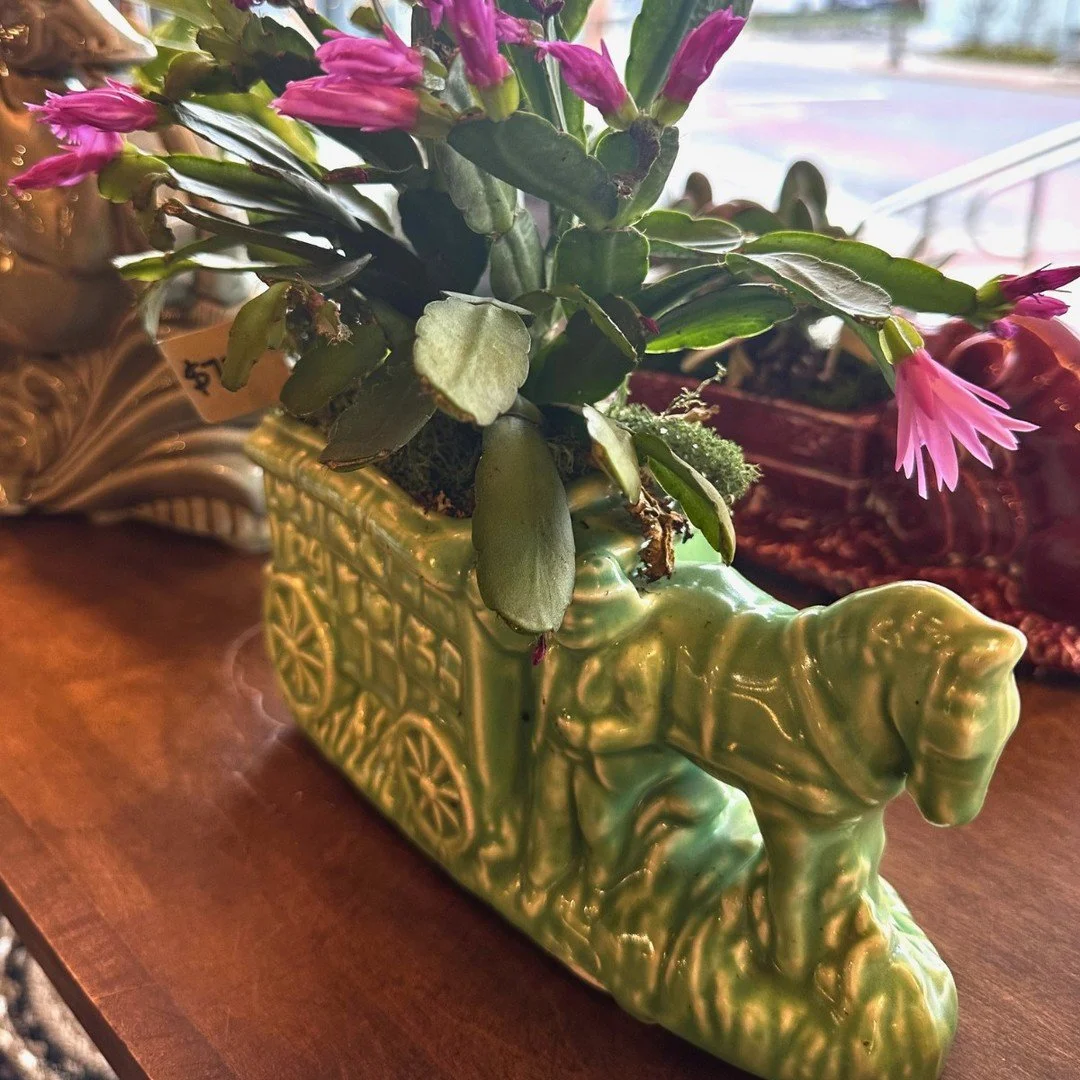 Easter is almost here and there are still so many sweet finds at Metamora General 🐰🌸
From festive treats to plants in vintage planters, these make the perfect hostess gifts for the weekend.