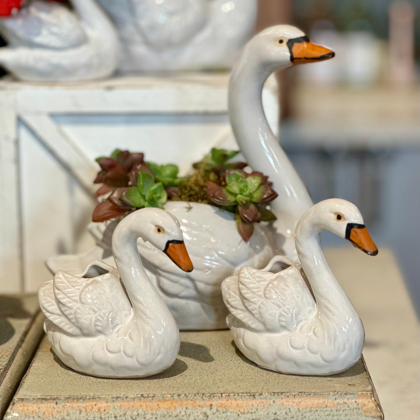 🌿 These swan planters are perfect for fresh blooms, succulents, or just adding something special to your space.