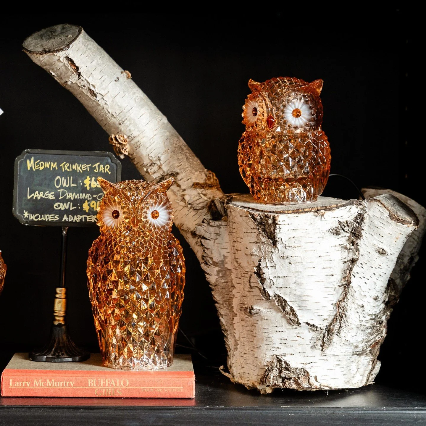 These little owls have a way of stealing the spotlight. Cut glass details catch the light beautifully, giving off a warm glow that feels right at home on a shelf, side table, or tucked into a cozy corner. Equal parts functional and collectible&mdash;