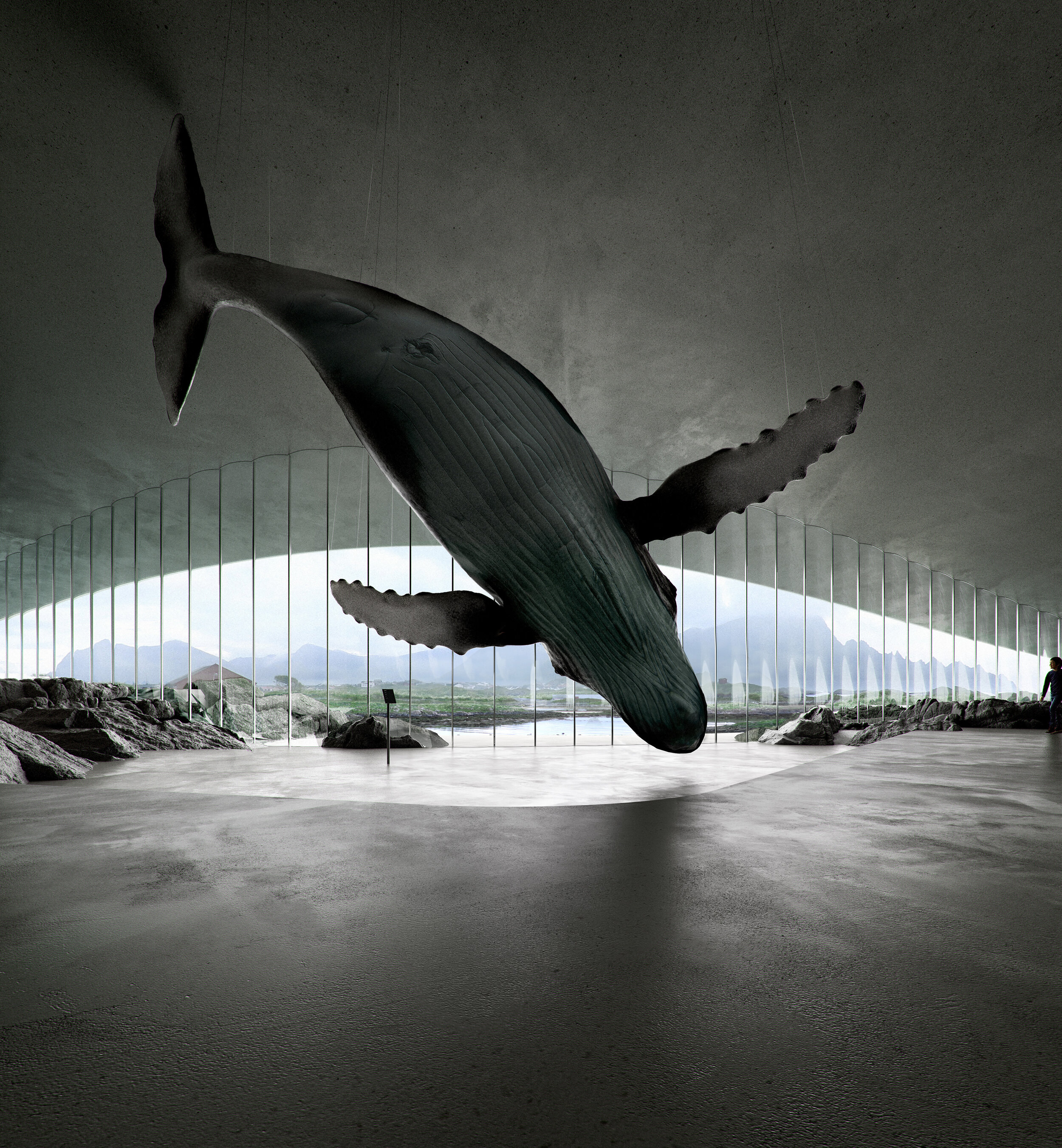 Exhibition design for The Whale, a museum in Norway