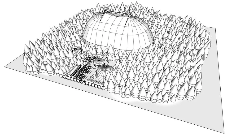 Carnavale_Process_Layout01.jpg