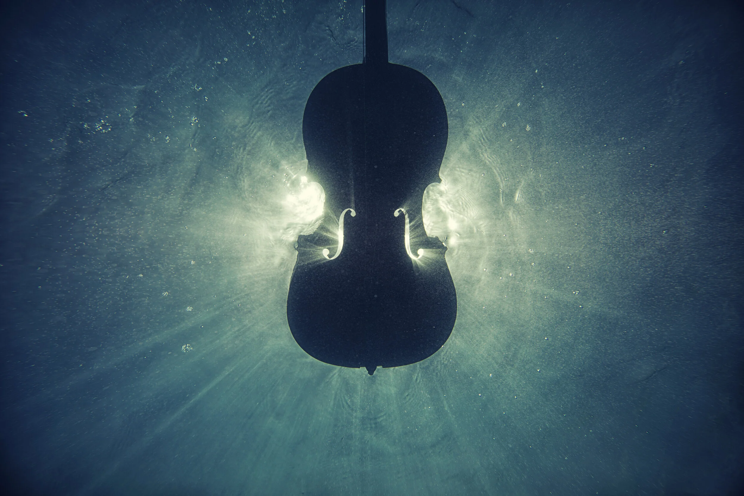 Bach & Forth