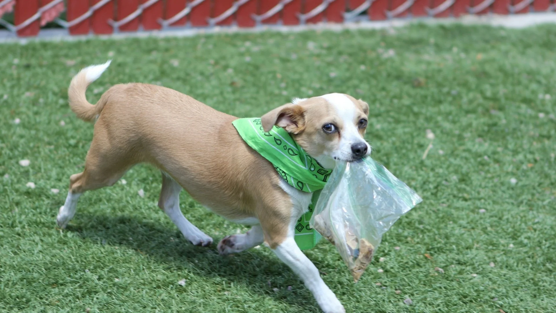 How to Avoid the "Grift" of NIL