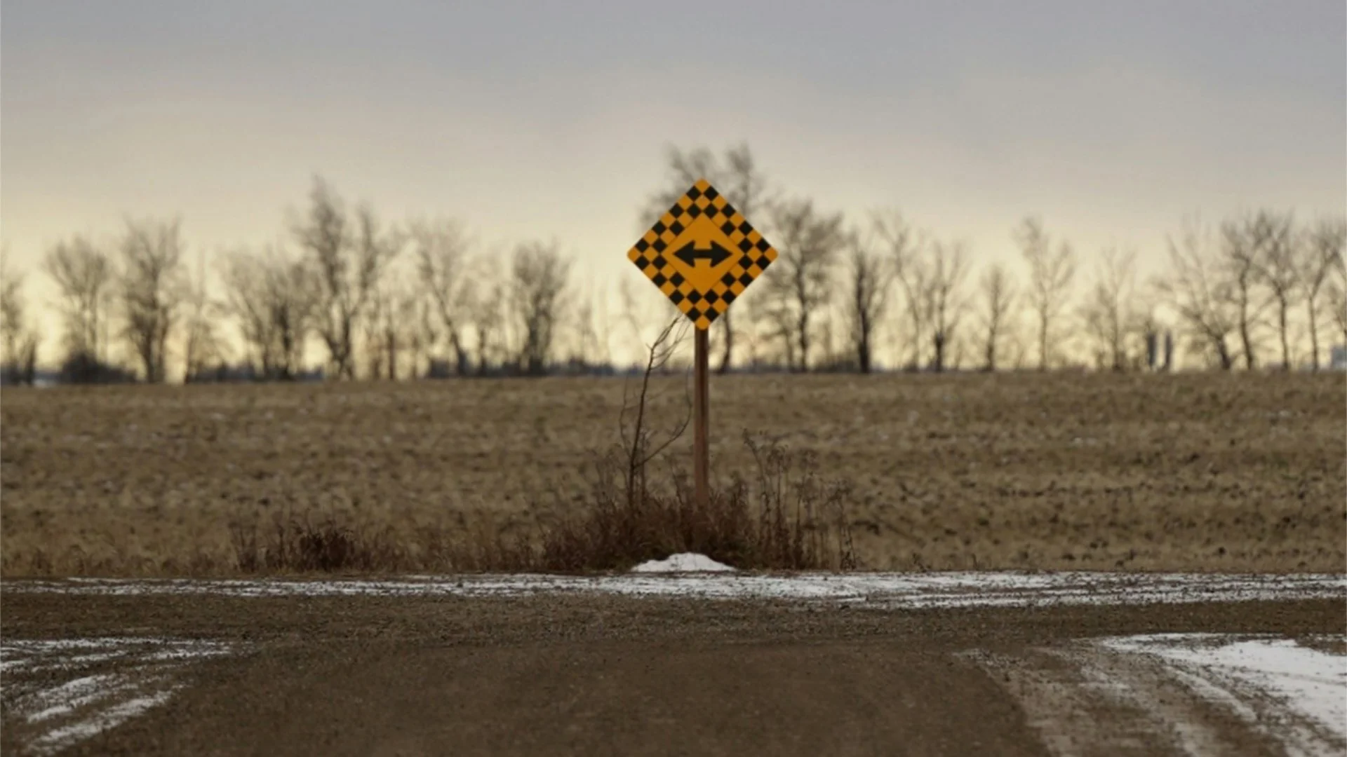Be Careful What You Win: The CSC Lawsuit's Hidden Risk