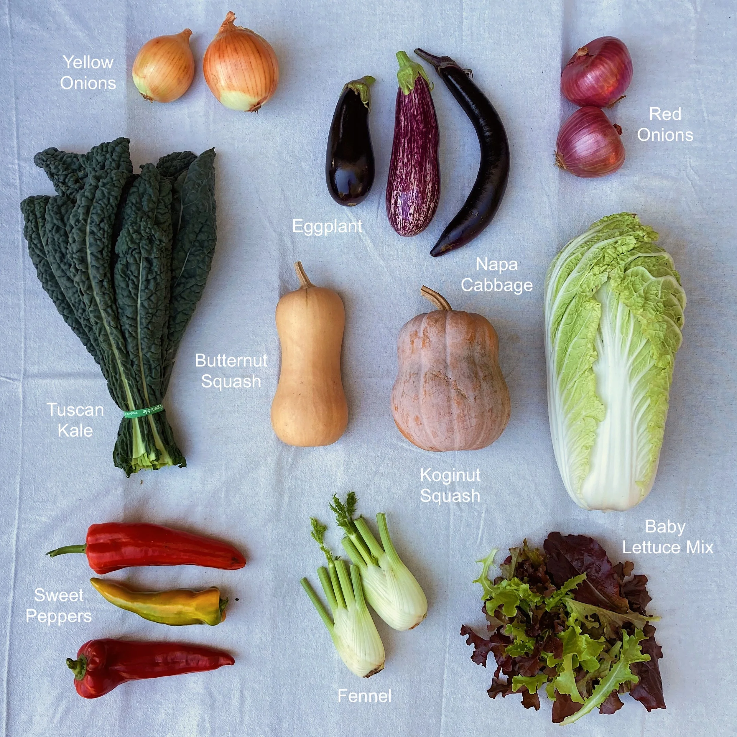 2023 CSA Week 17.JPG