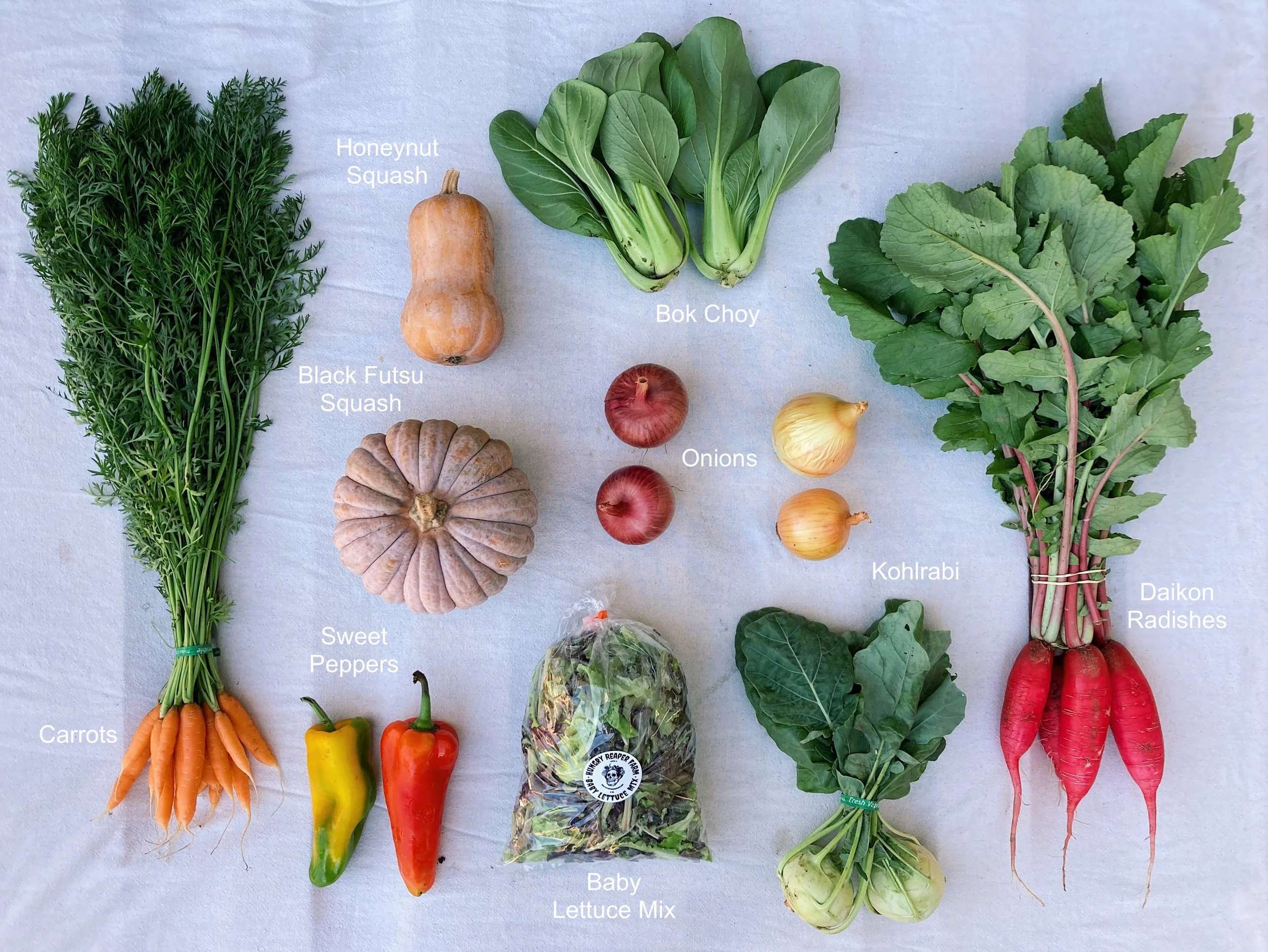 2023 CSA Week 18.JPG