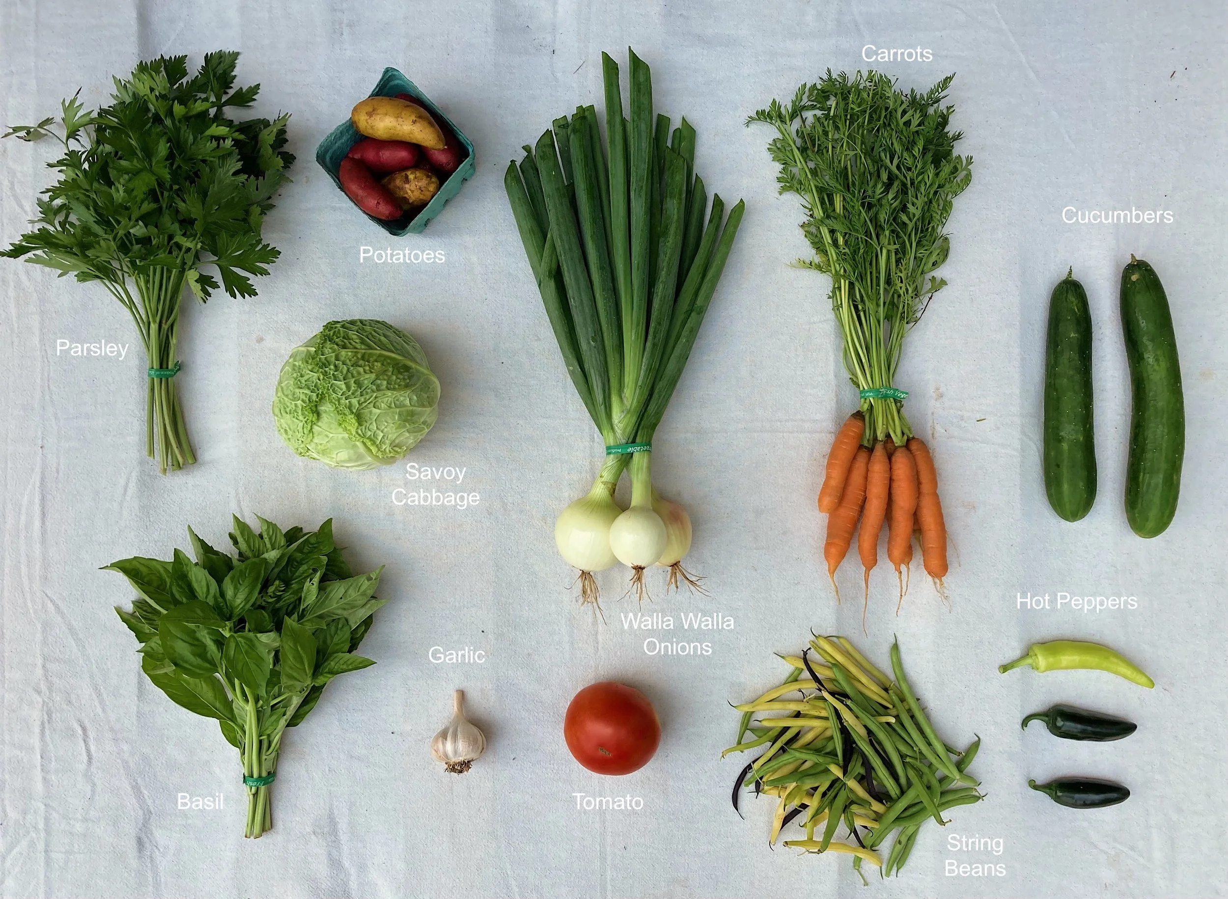 2023 CSA Week 10.JPG