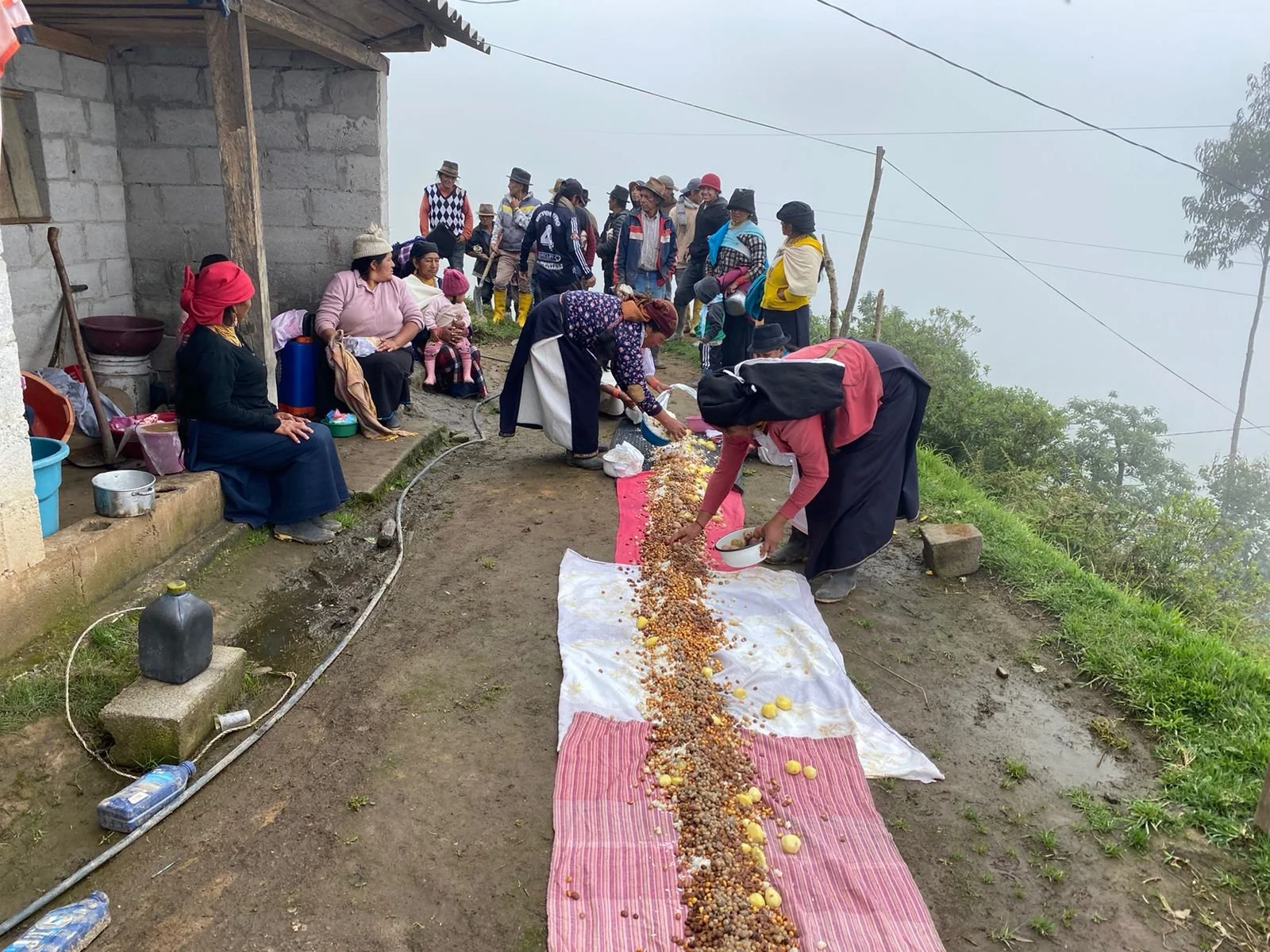 WhatsApp Image 2022-02-09 at 17.28.34 (1).jpeg