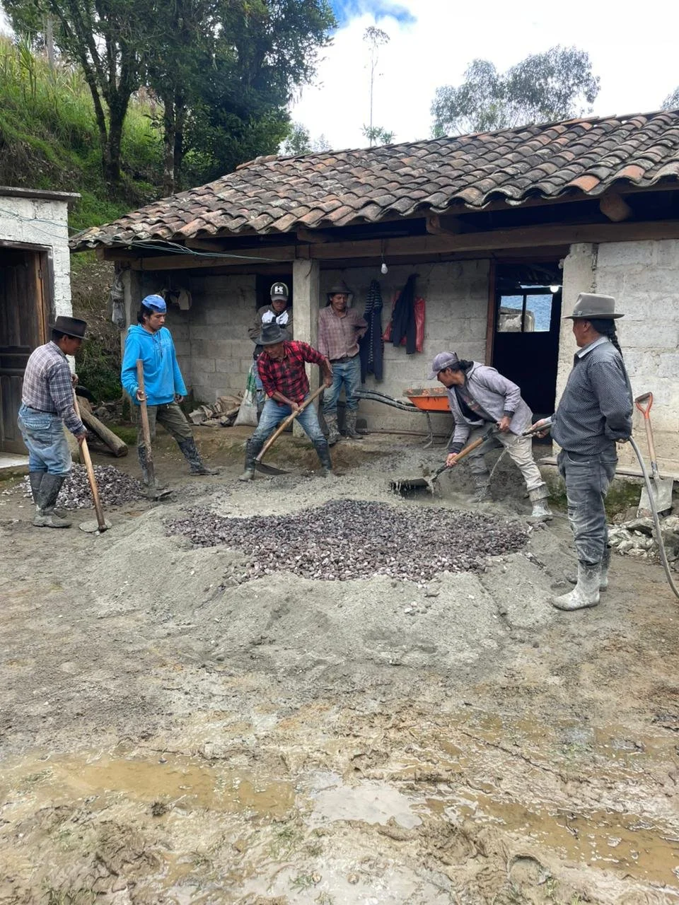 WhatsApp Image 2025-12-01 at 2.26.49 PM.jpeg