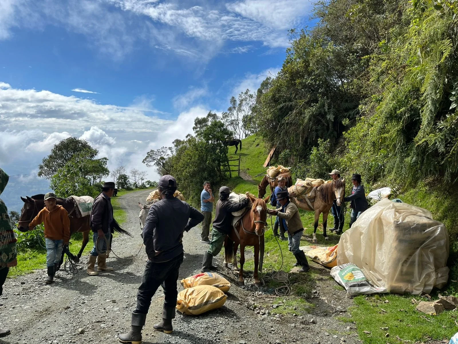 WhatsApp Image 2025-12-04 at 11.05.31 AM.jpeg