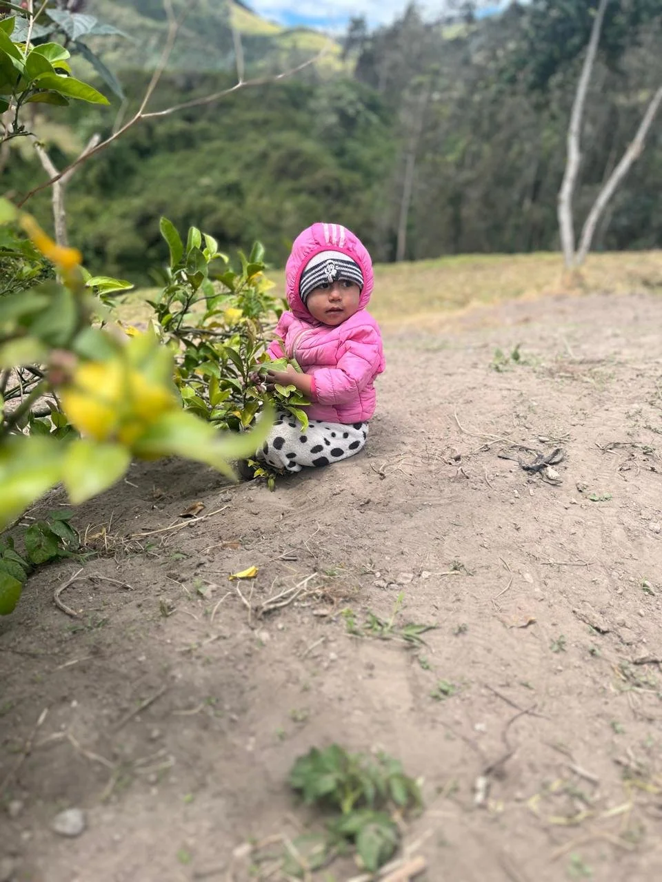 WhatsApp Image 2025-12-04 at 11.12.51 AM.jpeg