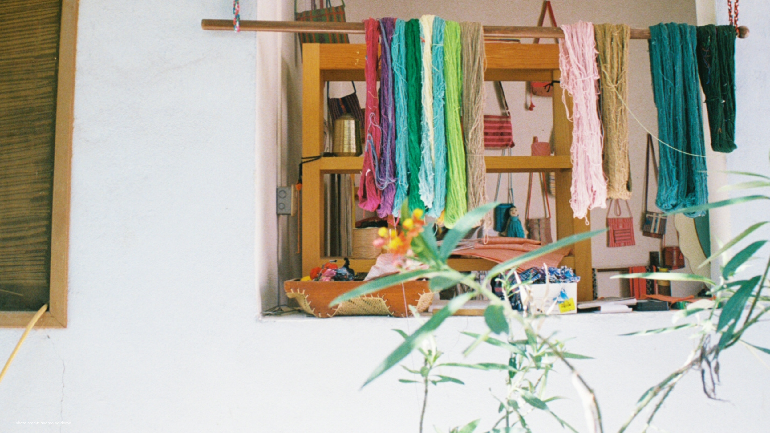 photo credit_ andrea calderon (2).png