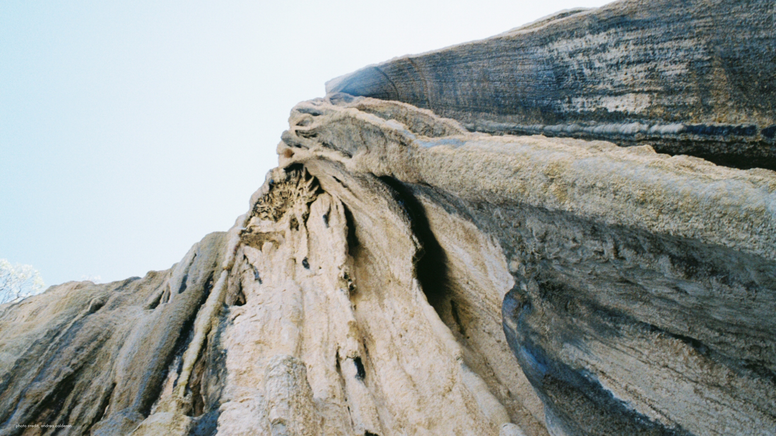 photo credit_ andrea calderon (1).png