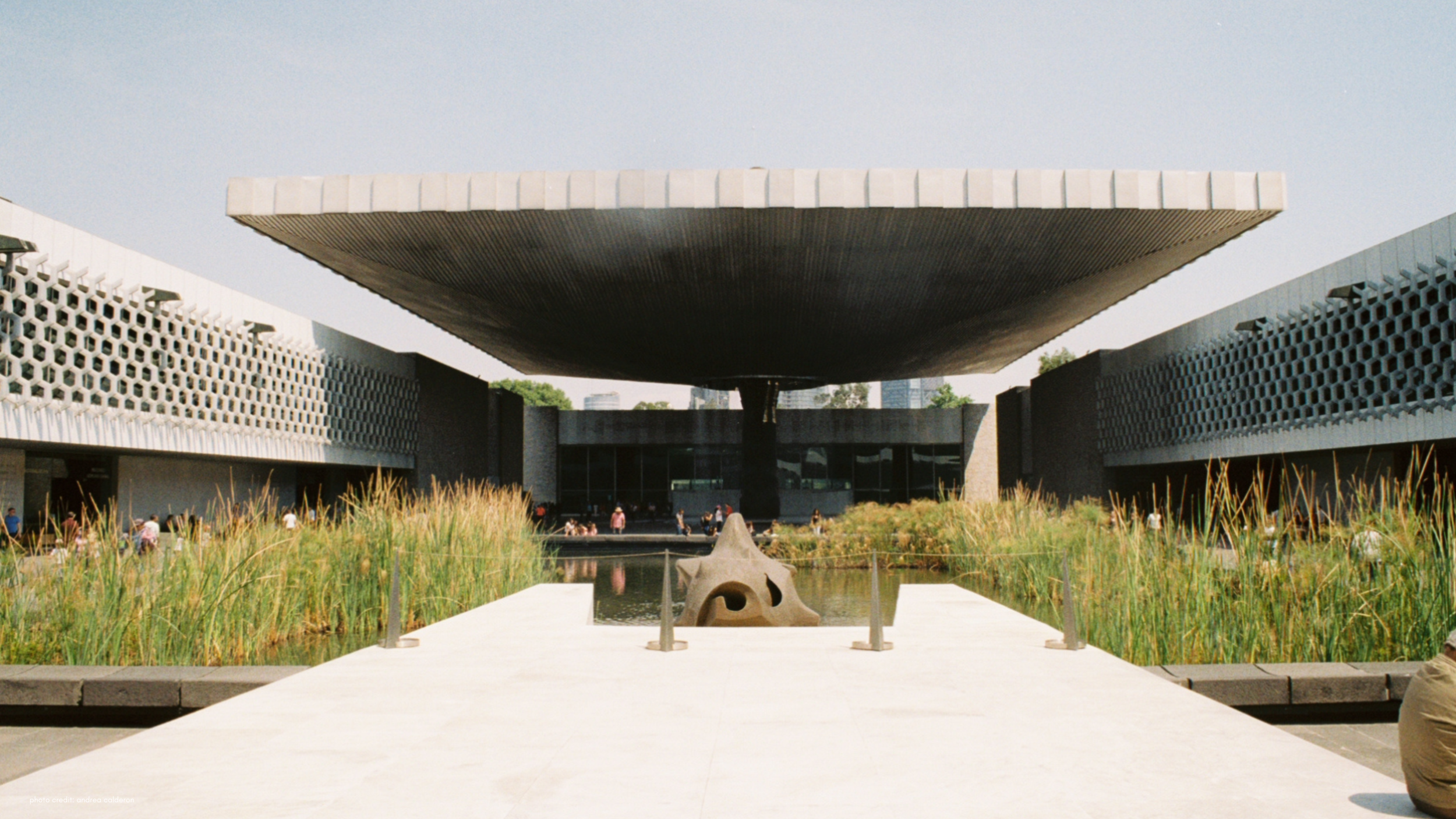 photo credit_ andrea calderon (13).png