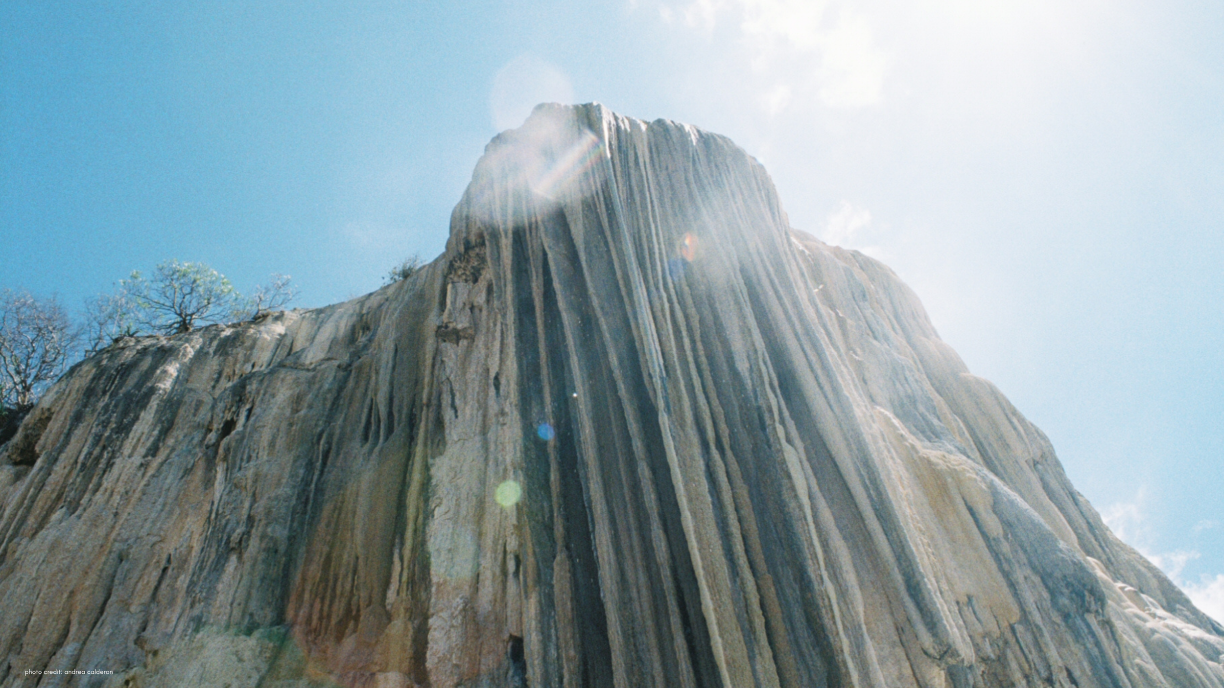 photo credit_ andrea calderon (9).png