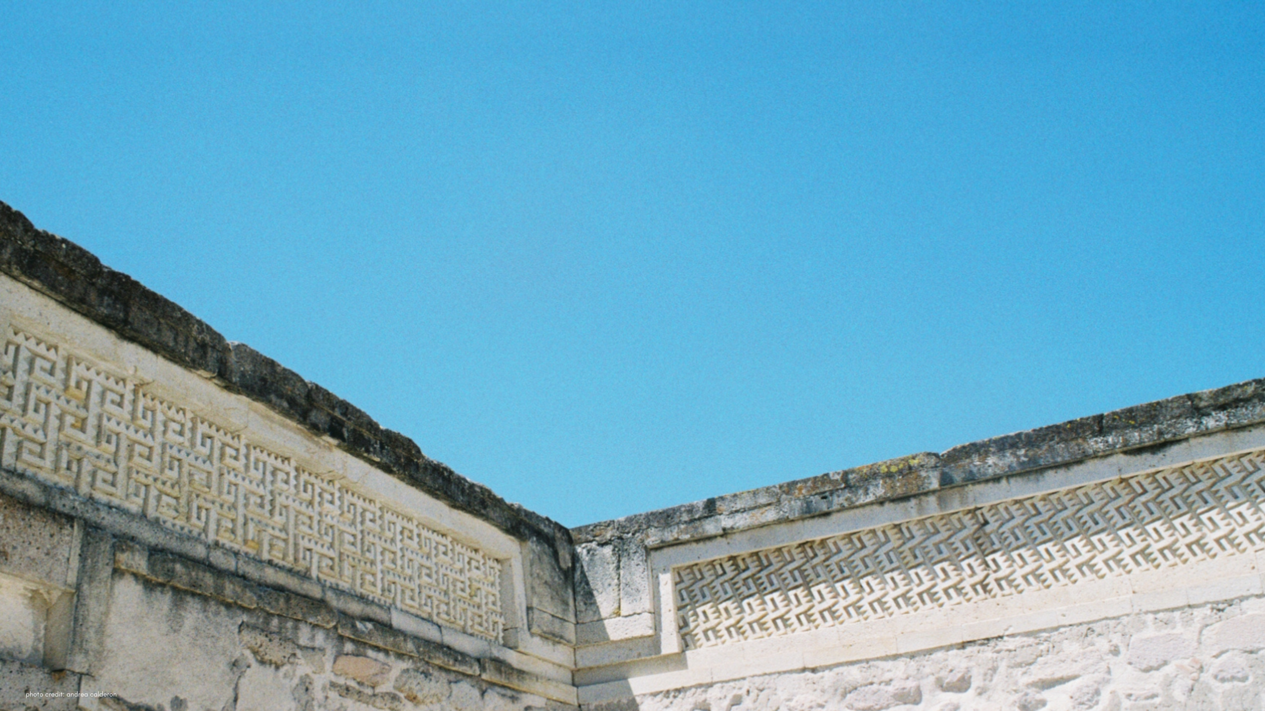 photo credit_ andrea calderon (8).png