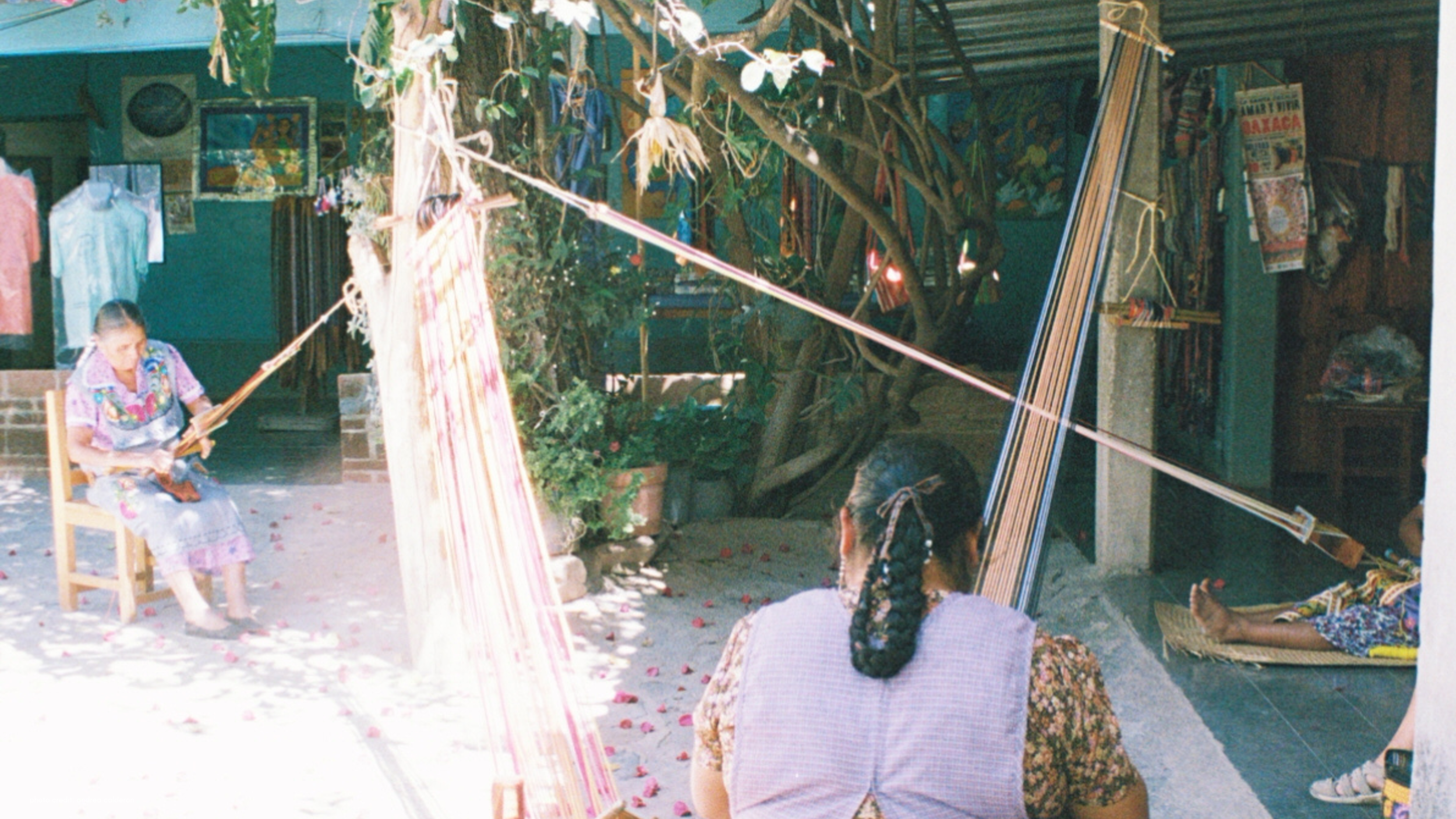 photo credit_ andrea calderon (5).png