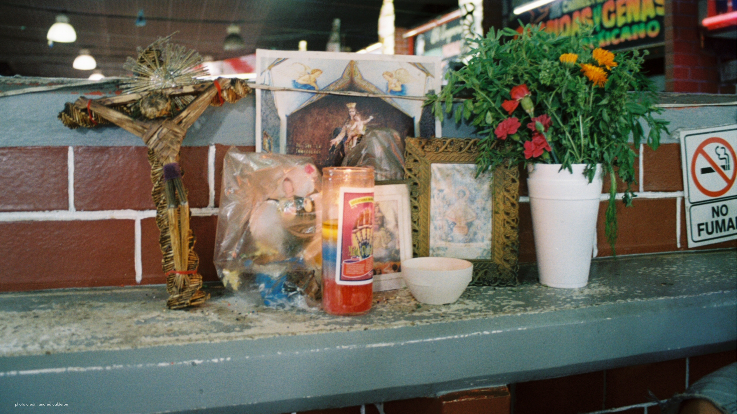 photo credit_ andrea calderon (1).png