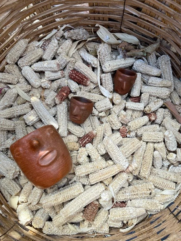 WhatsApp Image 2022-02-06 at 15.58.26.jpeg