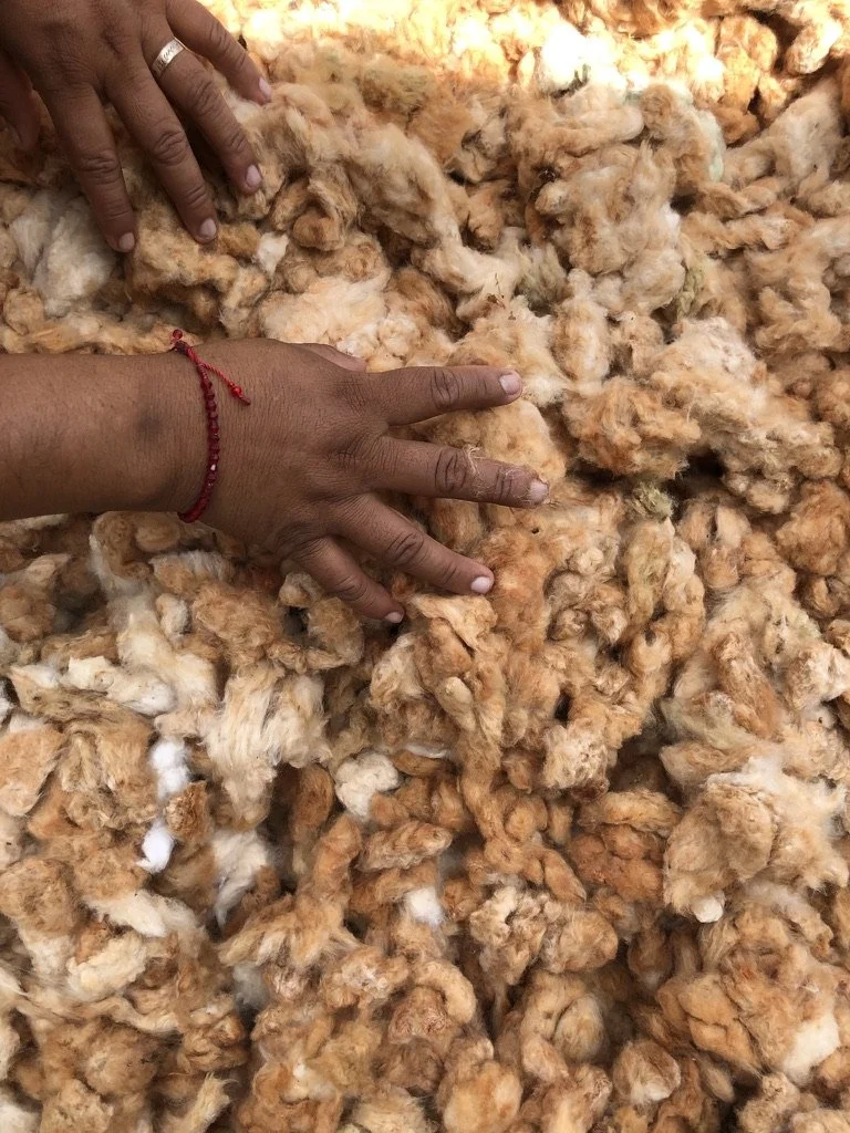 9E9F9318-73D7-4DFA-B466-DDDF74C070AA_1_105_c copy.jpeg