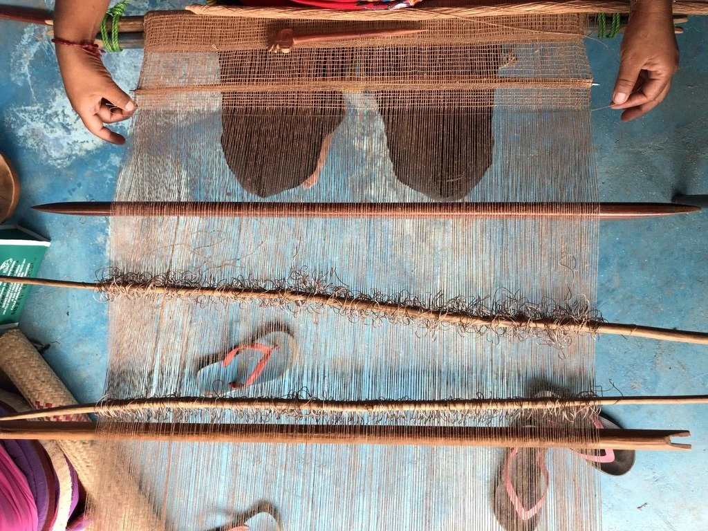 034647EF-9CAF-47EF-AB69-8D3CDA3D4C40_1_105_c copy.jpeg