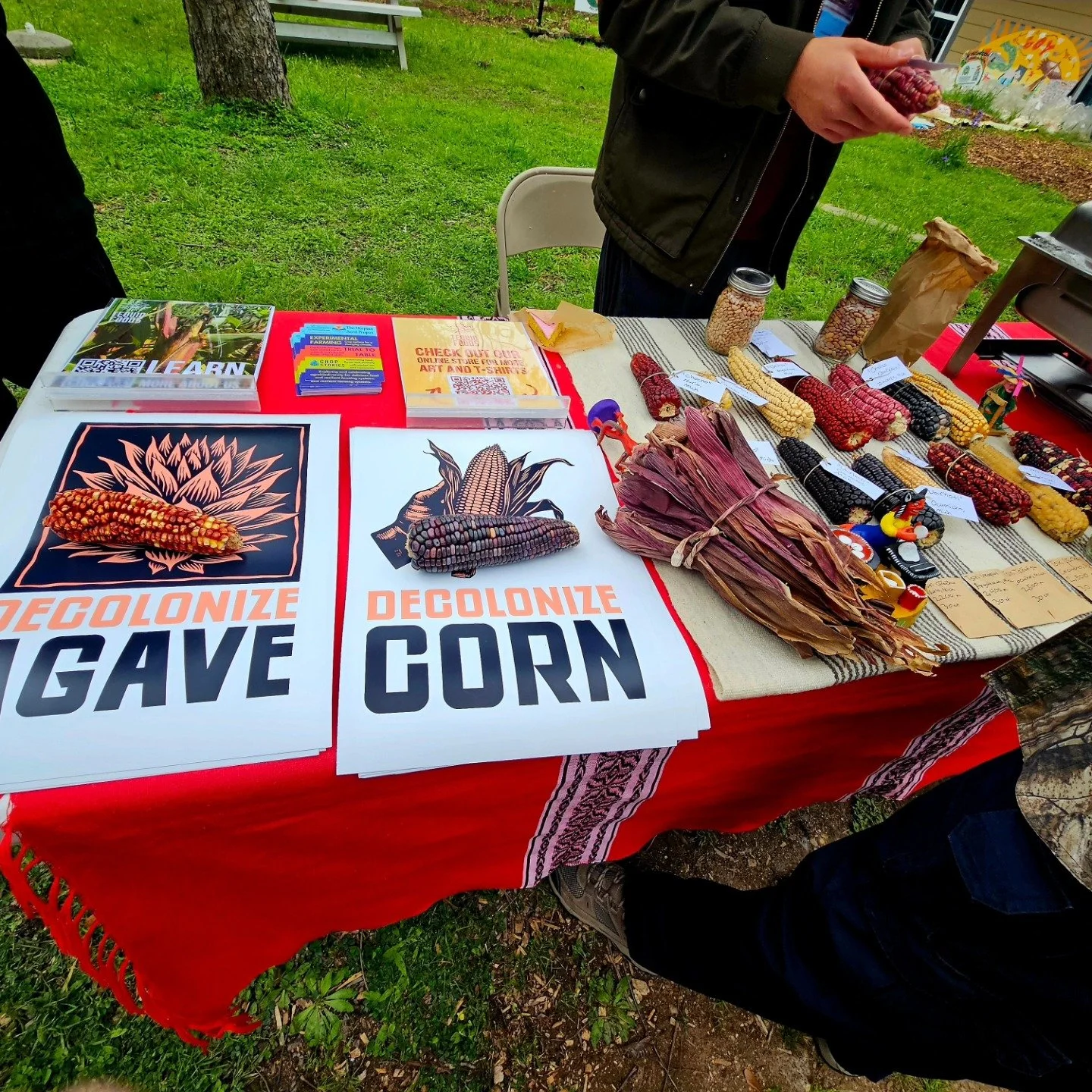 pic2 by vanessa mercado.jpg