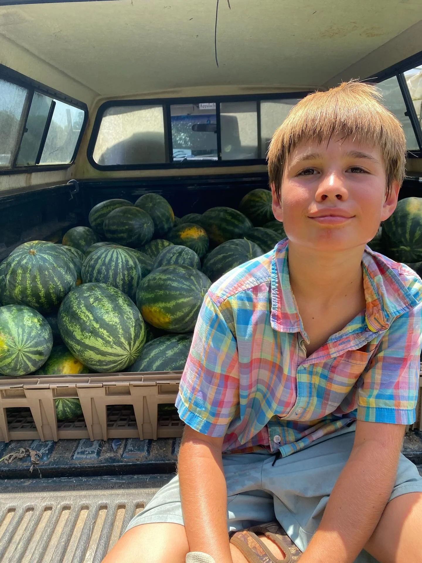 One of summer&rsquo;s greatest treats.