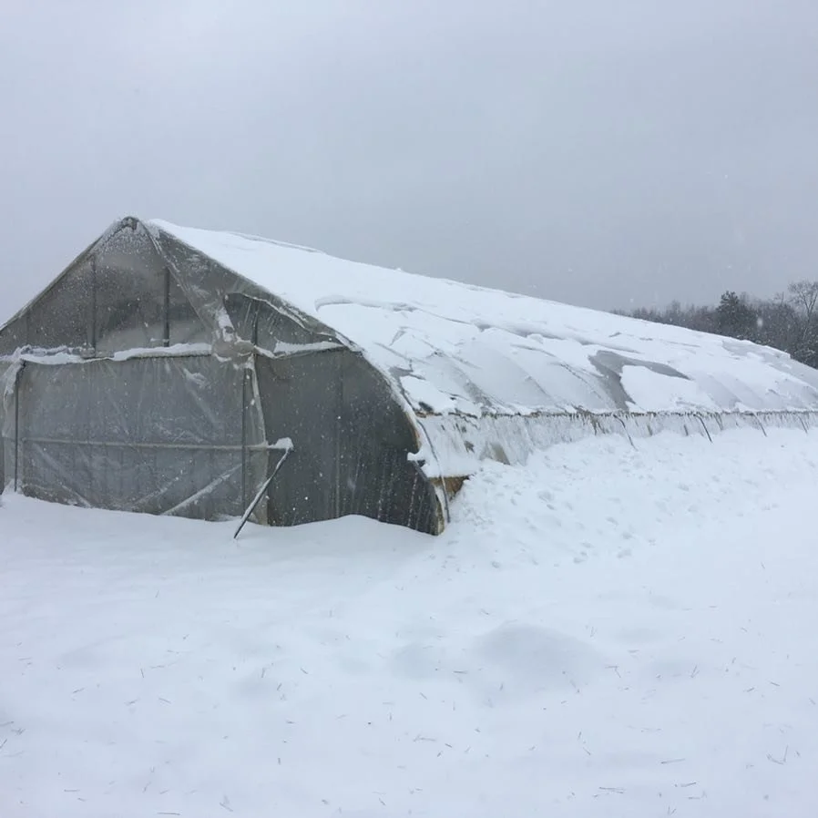 I don&rsquo;t miss getting up frequently during the night shedding the snow when the tunnel can do it on its own, thank you Atlas. Especially with 2 young kids who get you up early in the morning anyway... 11&rdquo; this round.
