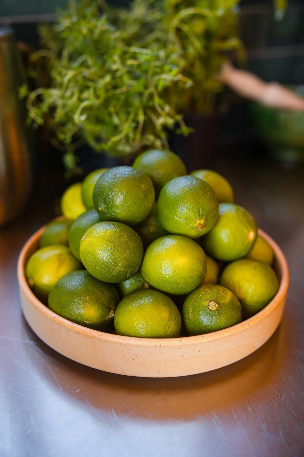 2025_Steph Peirce_Branding Session-020_websize.jpg