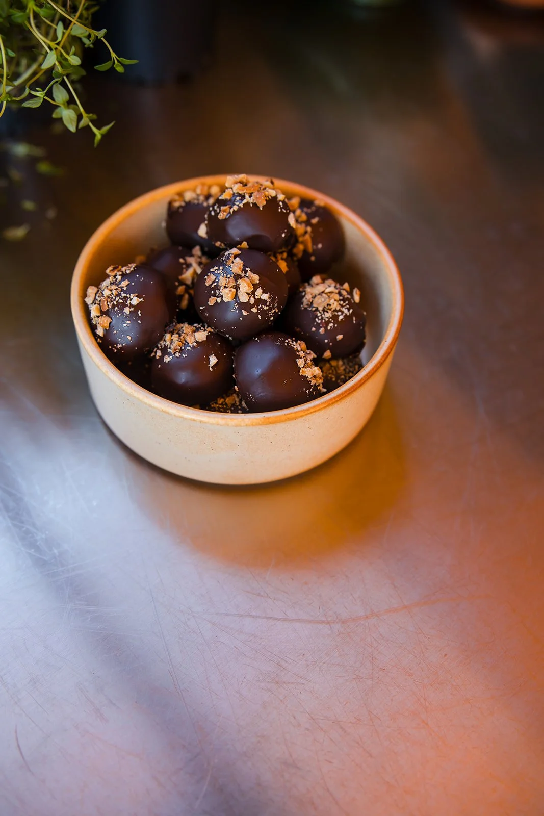 2025_Steph Peirce_Branding Session-027.jpg