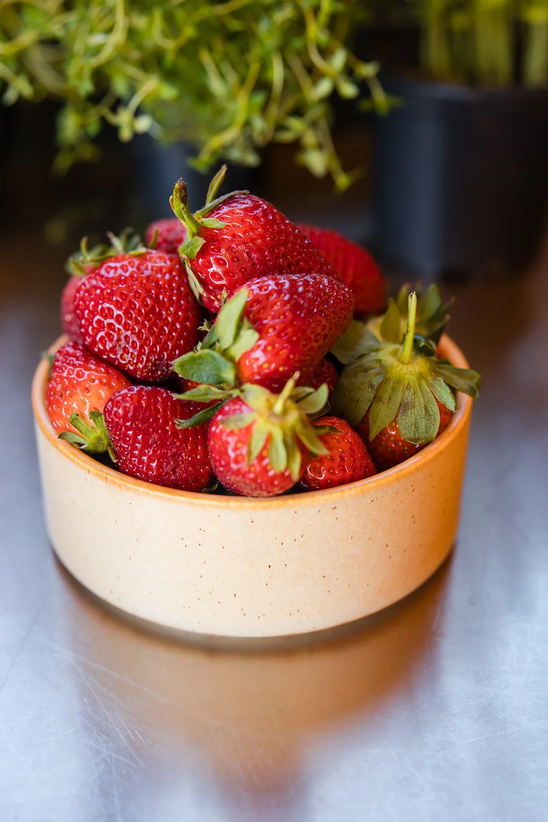 2025_Steph Peirce_Branding Session-039.jpg