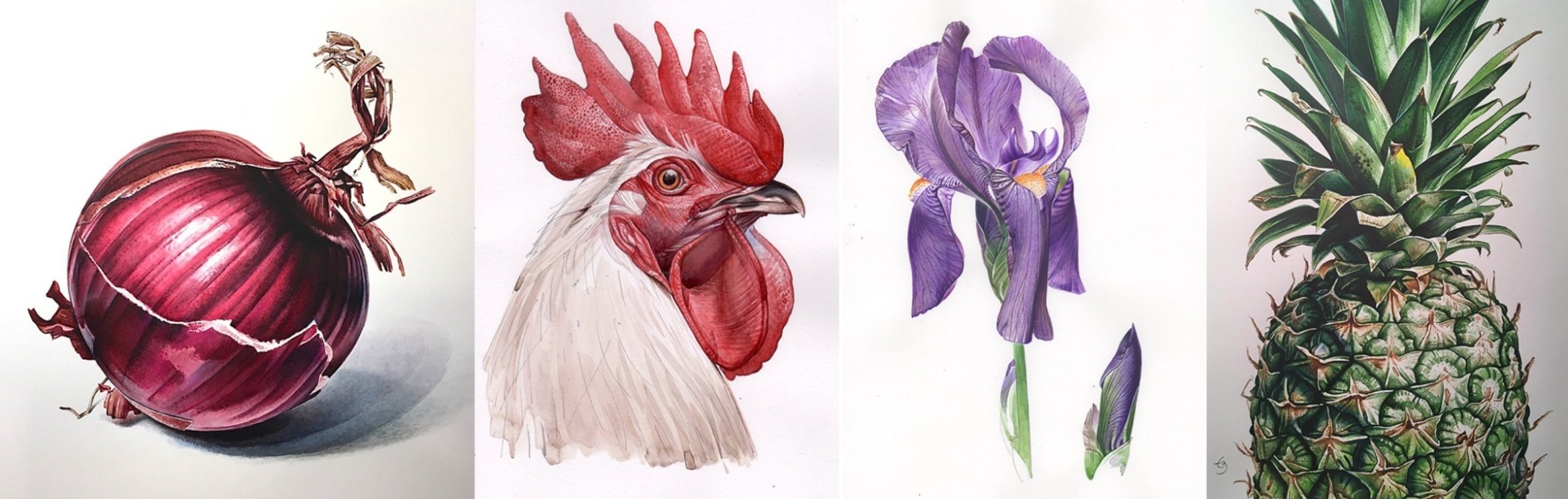 Watercolors with Todd Zalewski