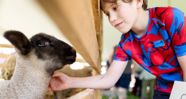 Wooly Wonders - Heritage Breed Sheep Weekend