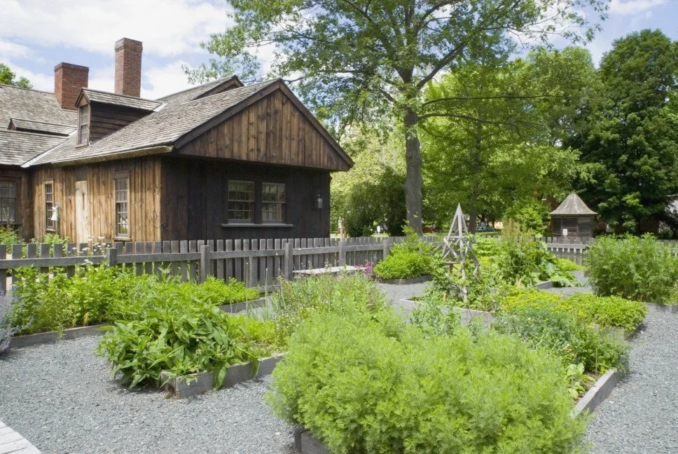 Historic Trade Demonstration: 18th Century Herbal Remedies and Women’s Medicine with Amy Lanham
