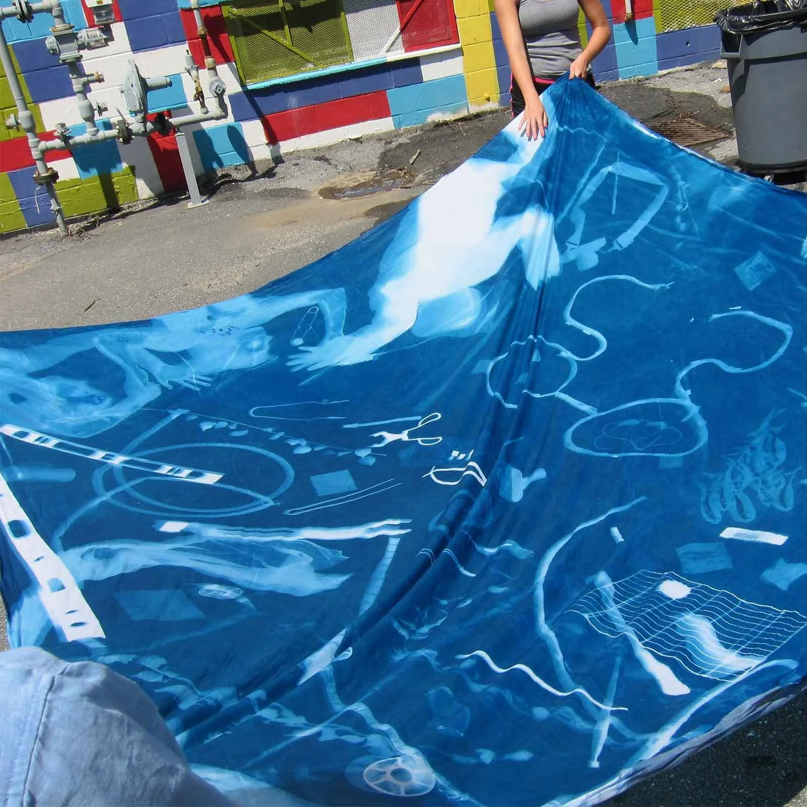 Creative Foundations: Cyanotypes