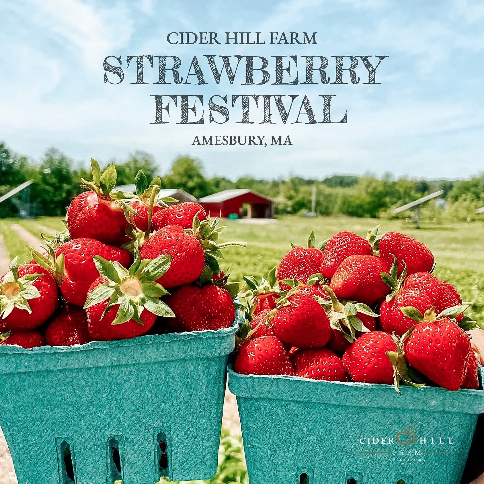 Strawberry Festival