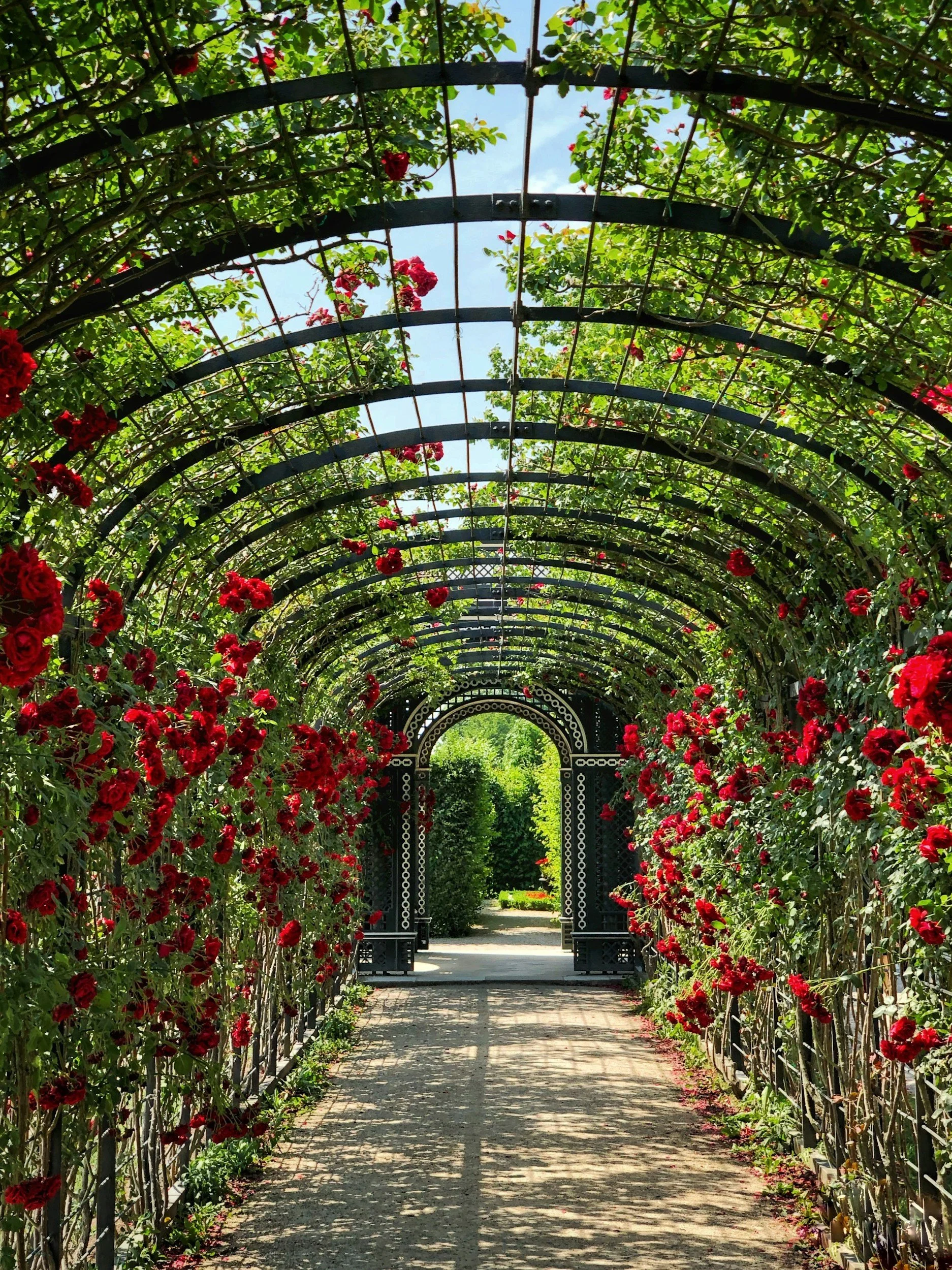 Salem Garden Club 2026 Garden Stroll